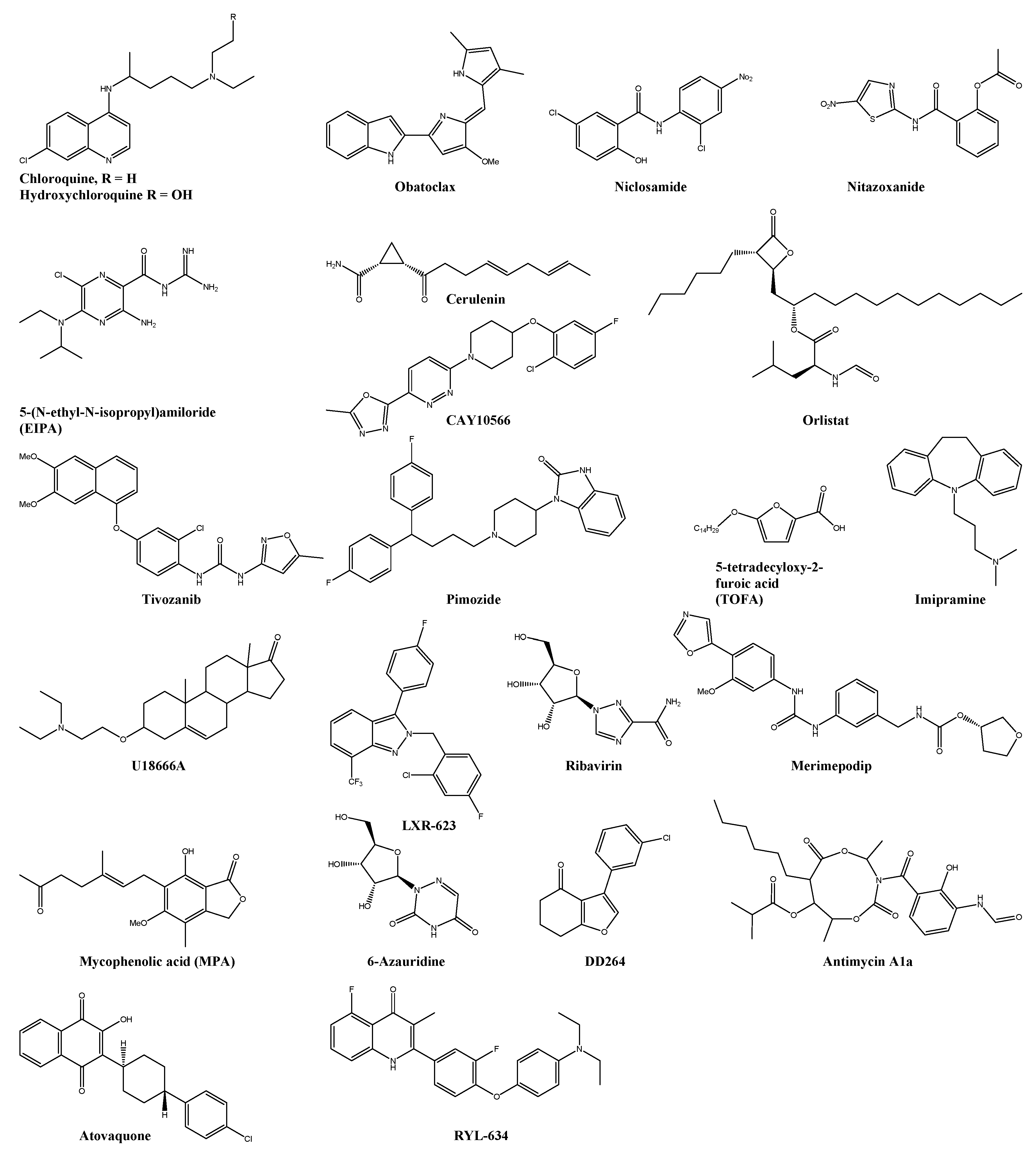 Viruses 13 01307 g003