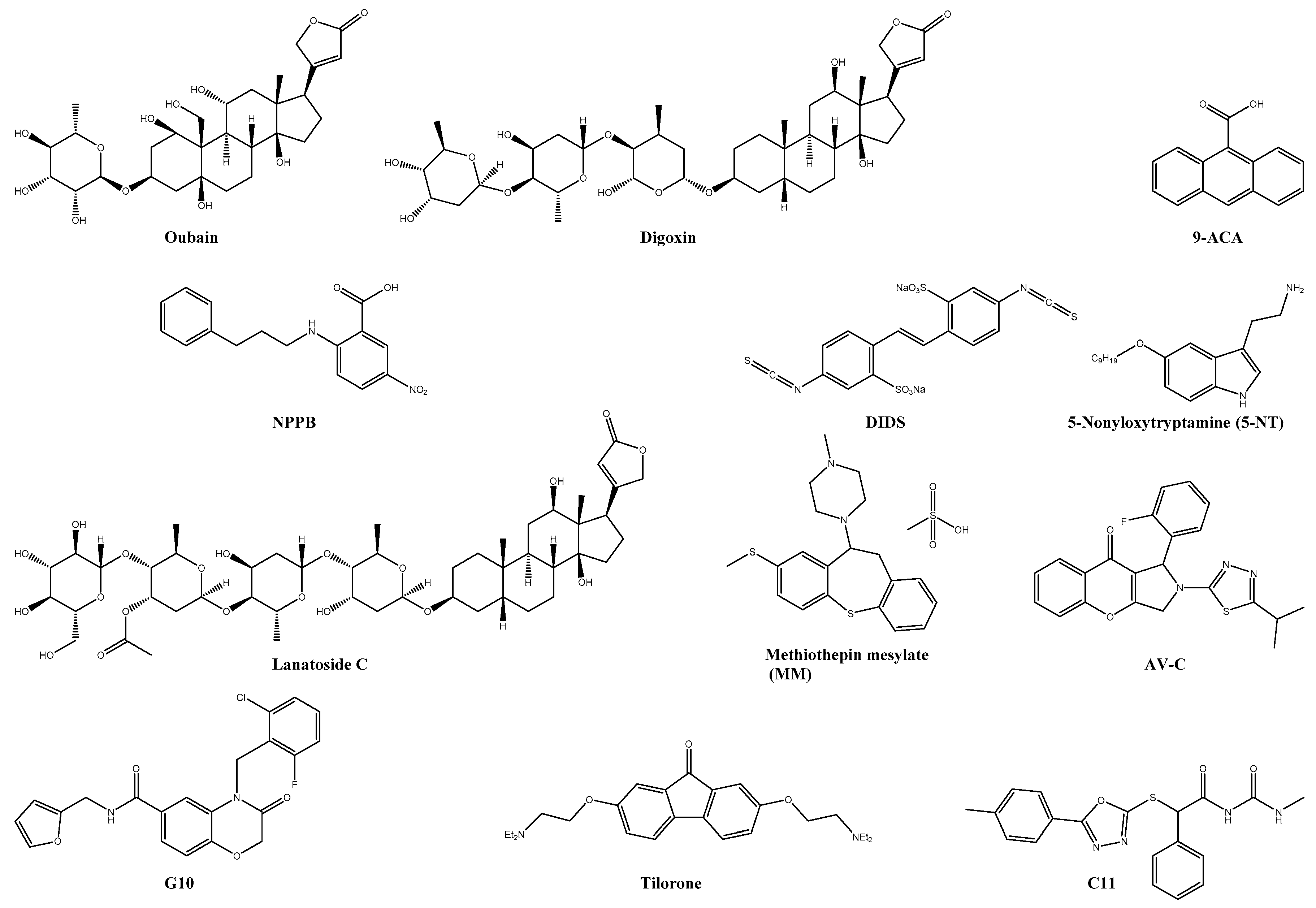 Viruses 13 01307 g005
