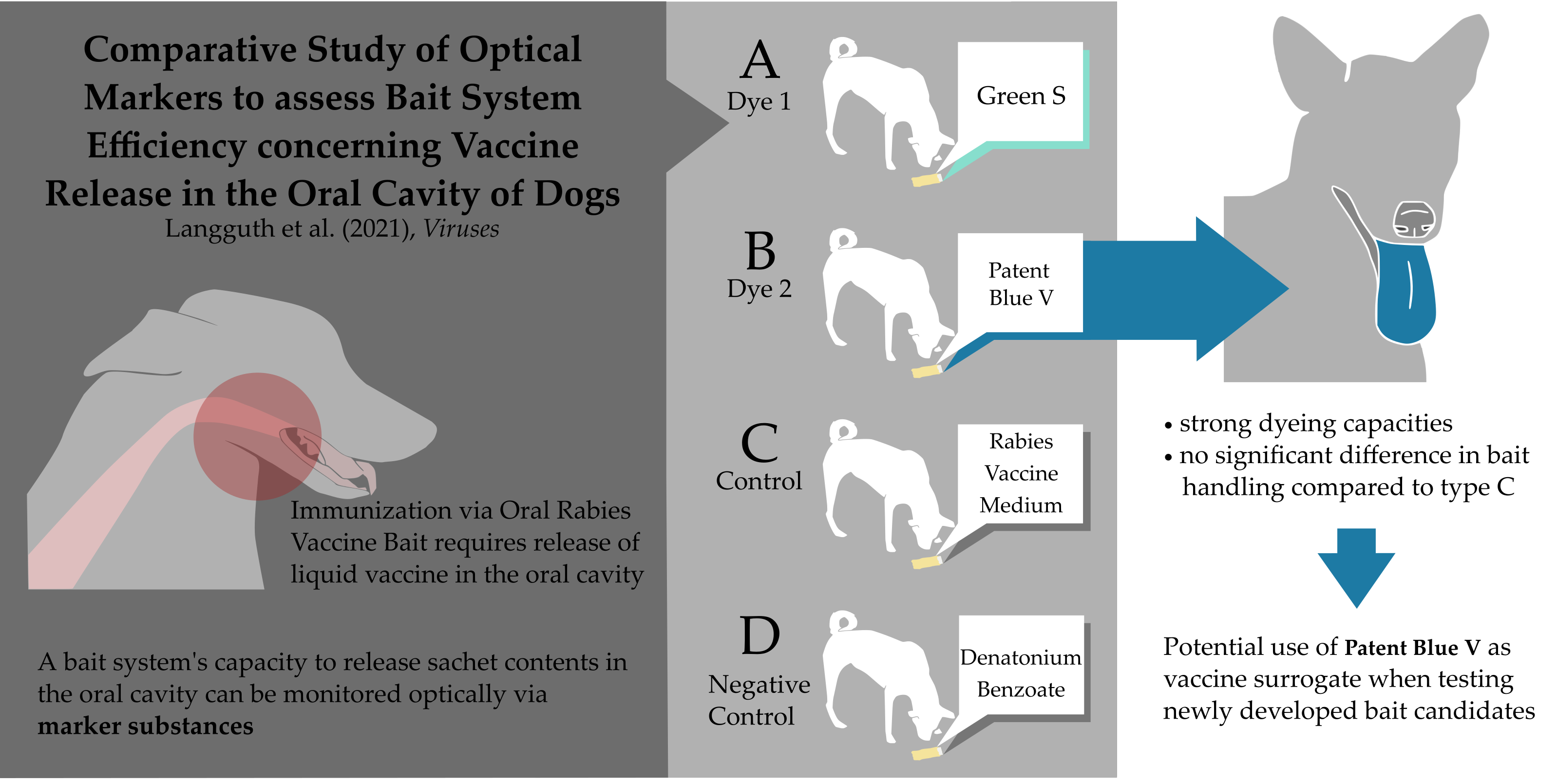 what is dog rabies vaccine