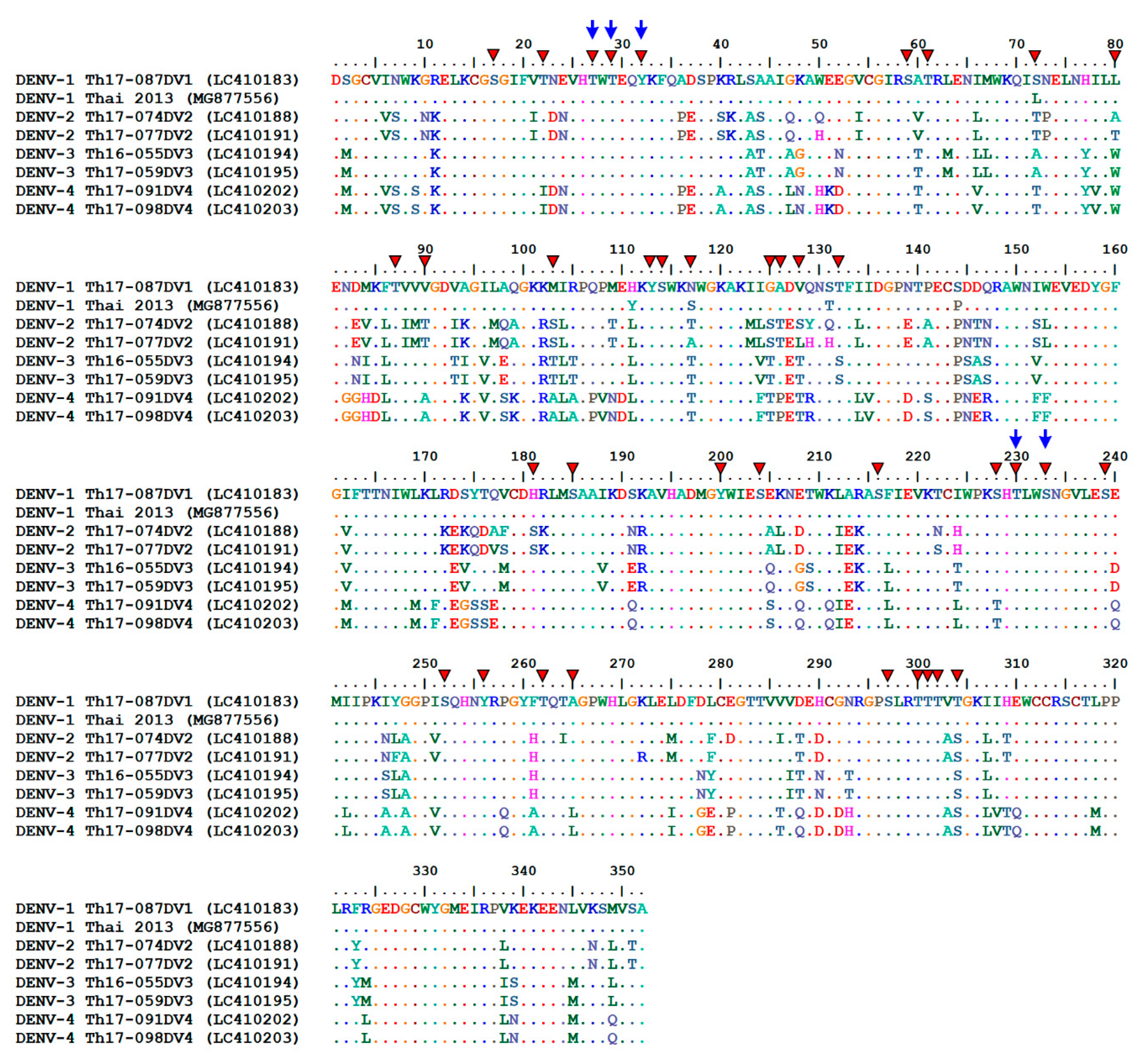 Viruses Free Full Text Potential Phosphorylation Of Viral Nonstructural Protein 1 In Dengue Virus Infection Html