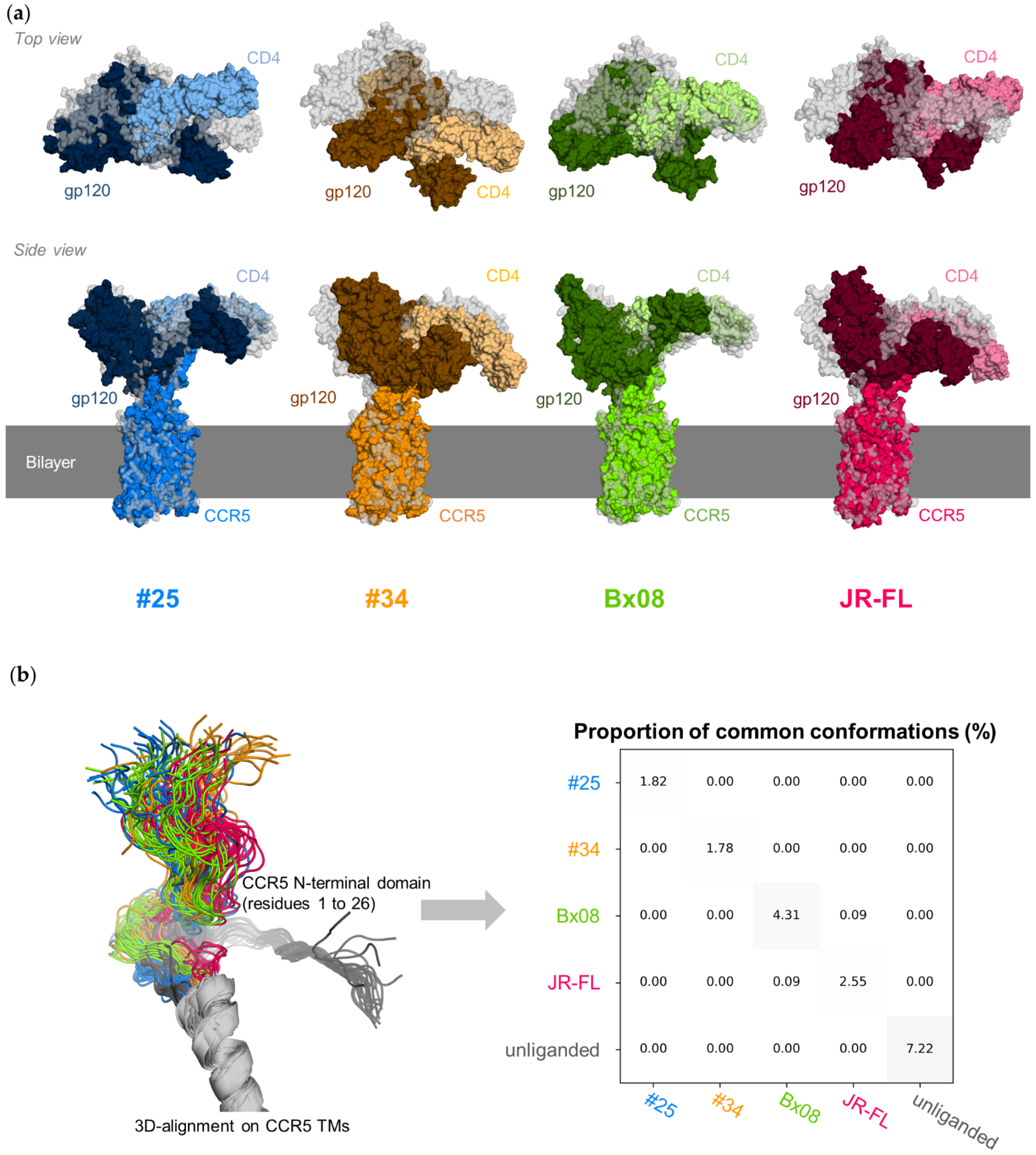Viruses 13 01395 g002