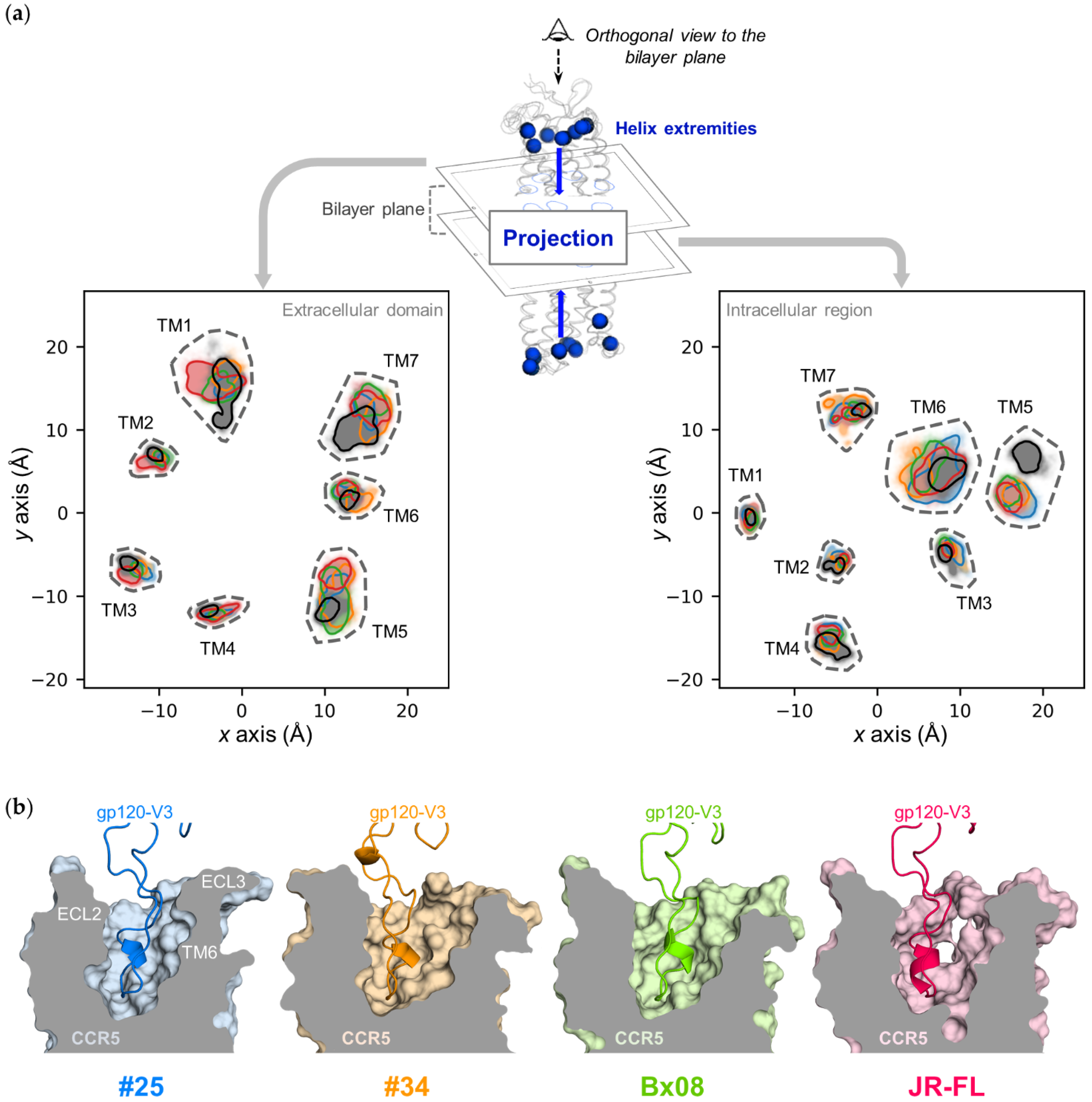 Viruses 13 01395 g004