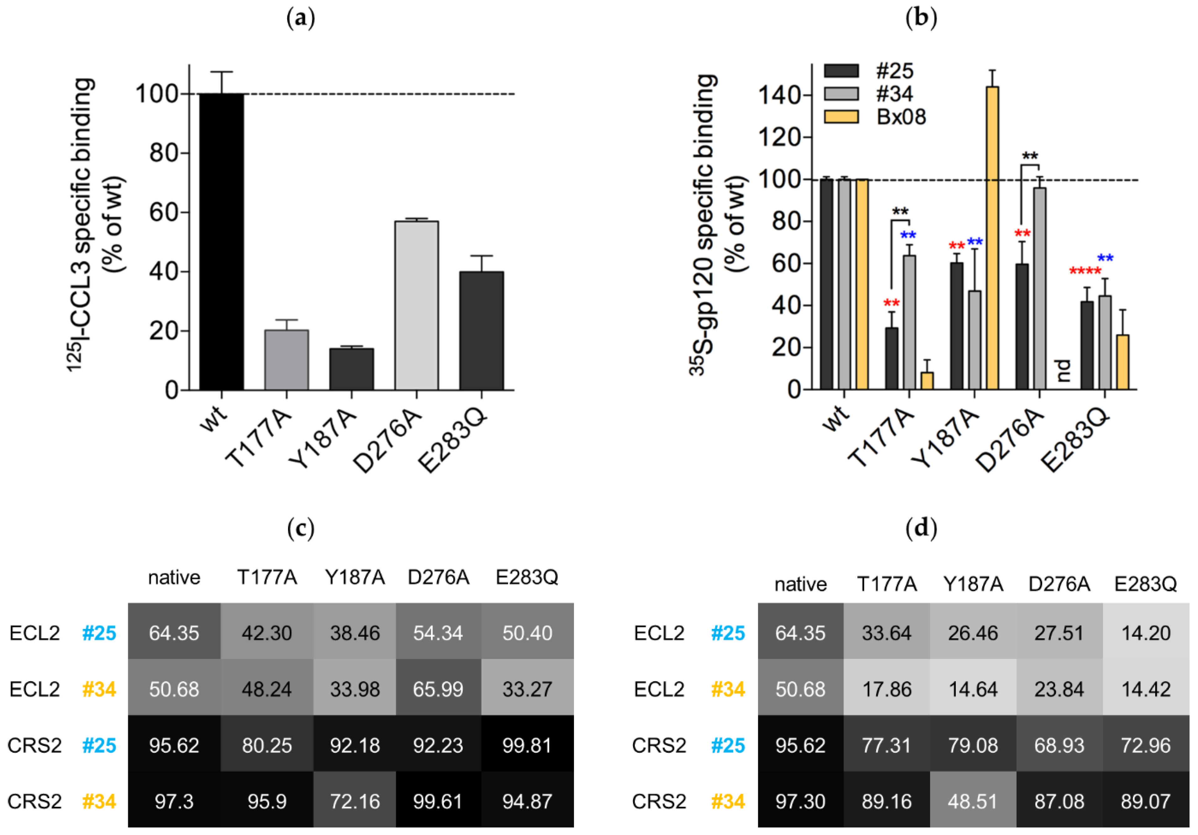 Viruses 13 01395 g006