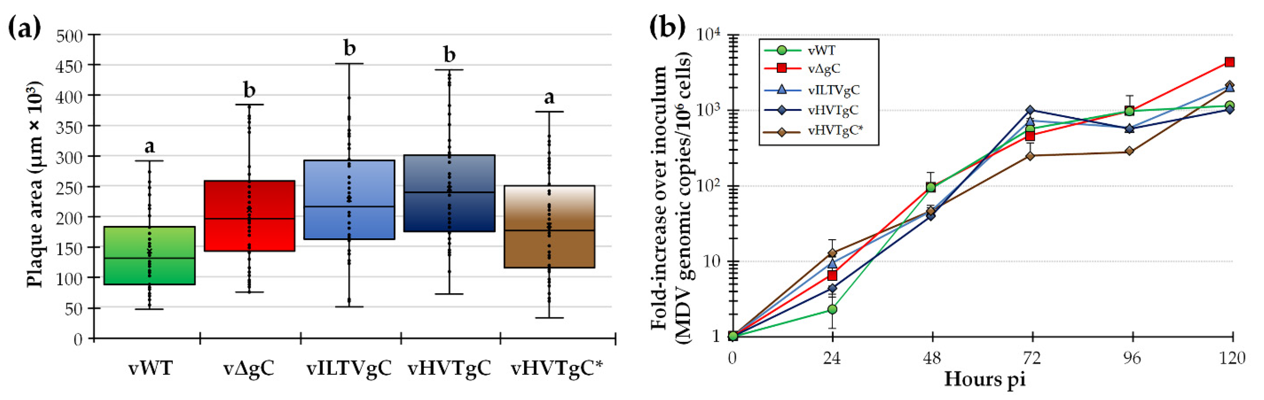 Viruses 13 01419 g002