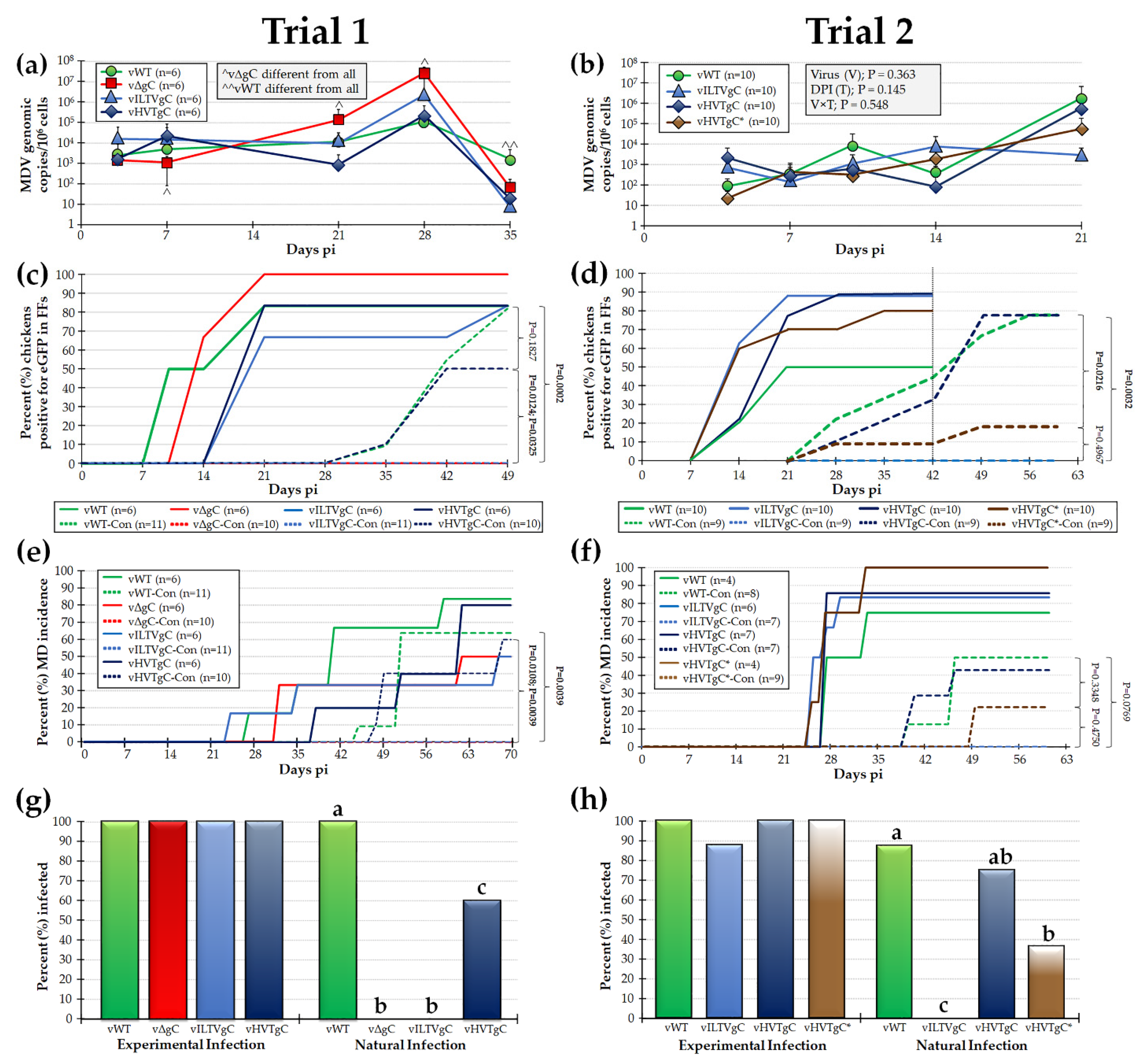 Viruses 13 01419 g003