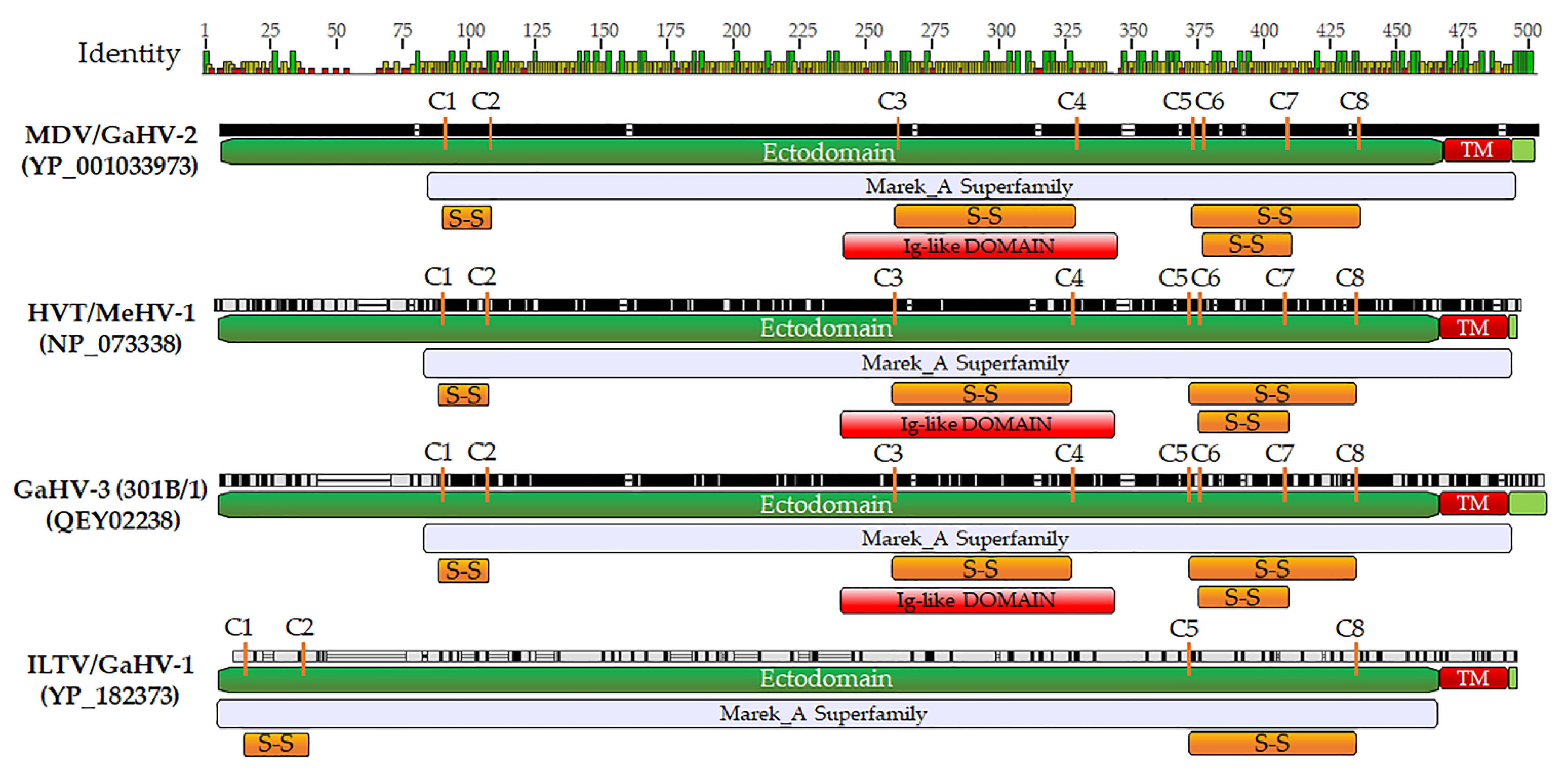 Viruses 13 01419 g005