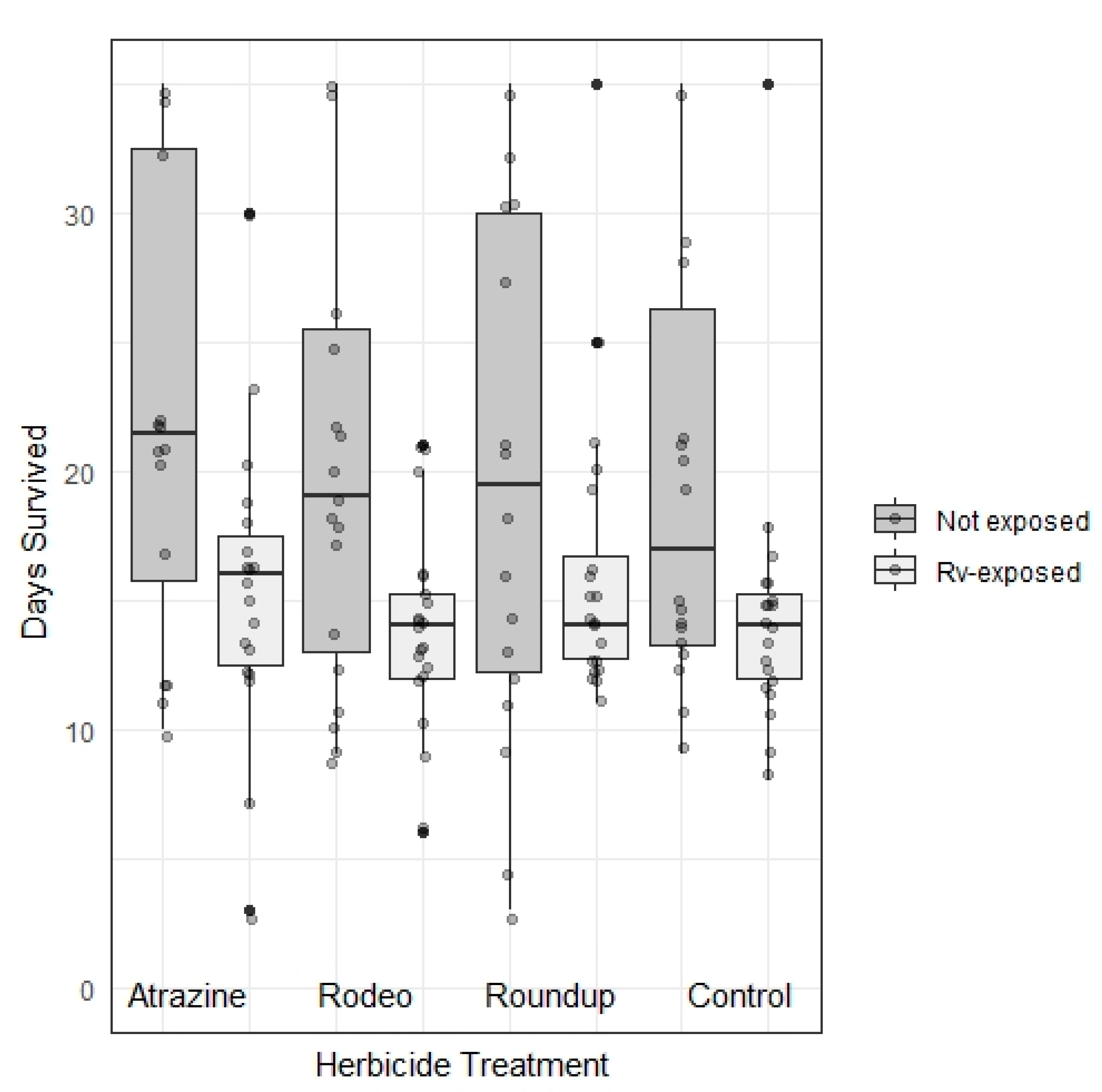 Viruses 13 01440 g004