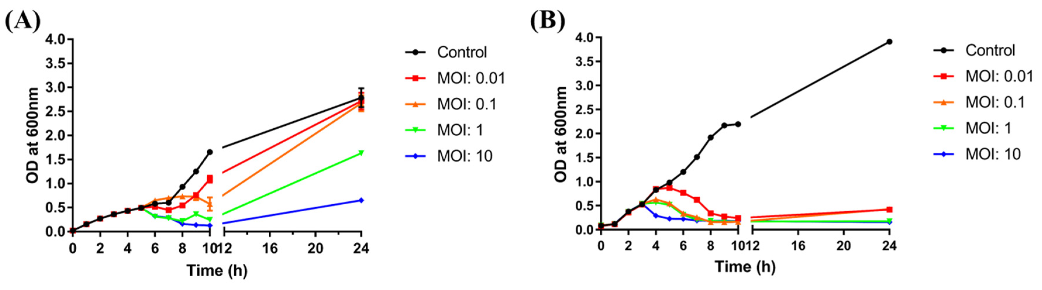 Viruses 13 01469 g006 Viruses 13 01469 g006