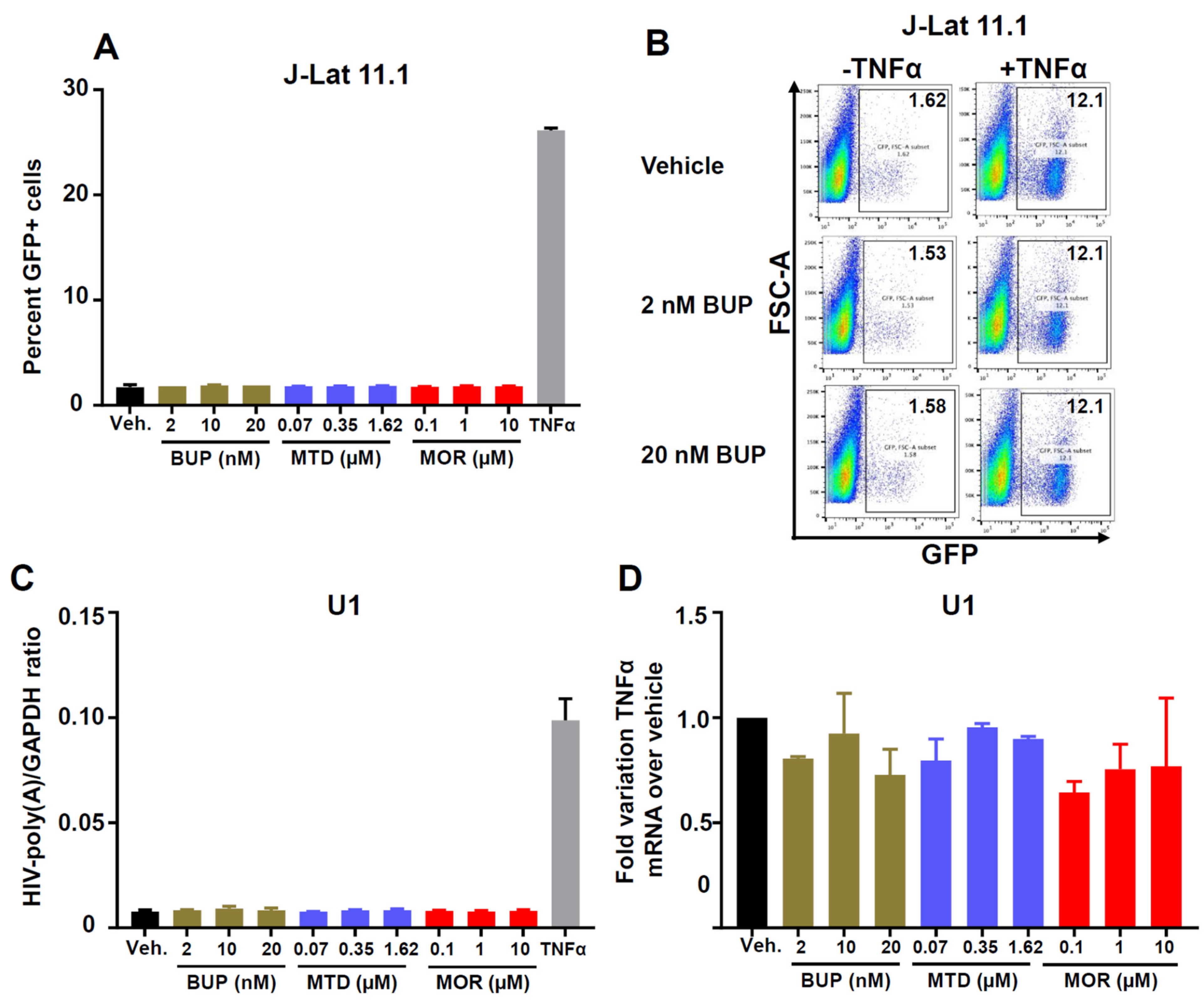 Viruses 13 01472 g005
