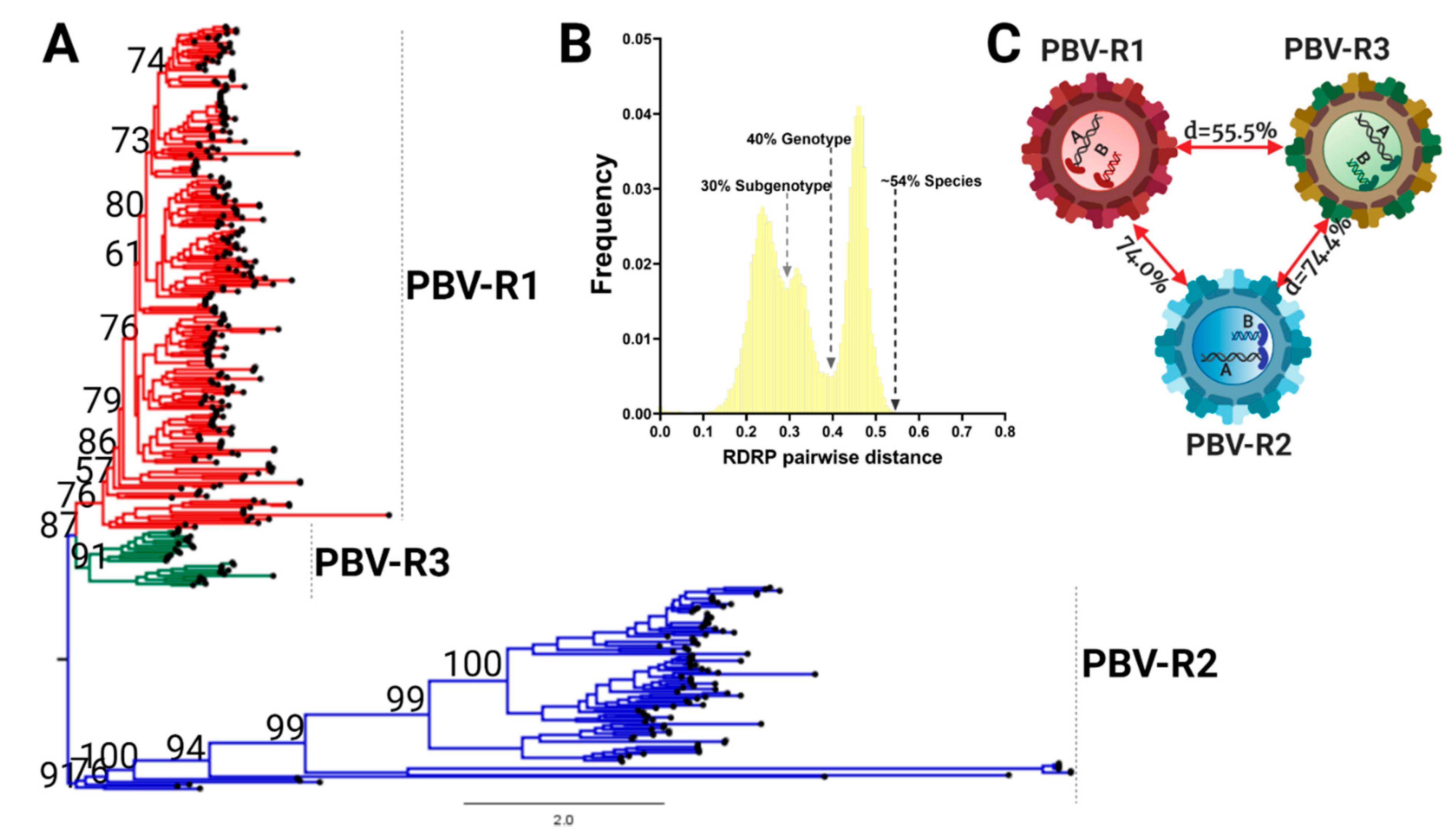 Viruses | Free Full-Text | Understanding The Genetic Diversity Of ...