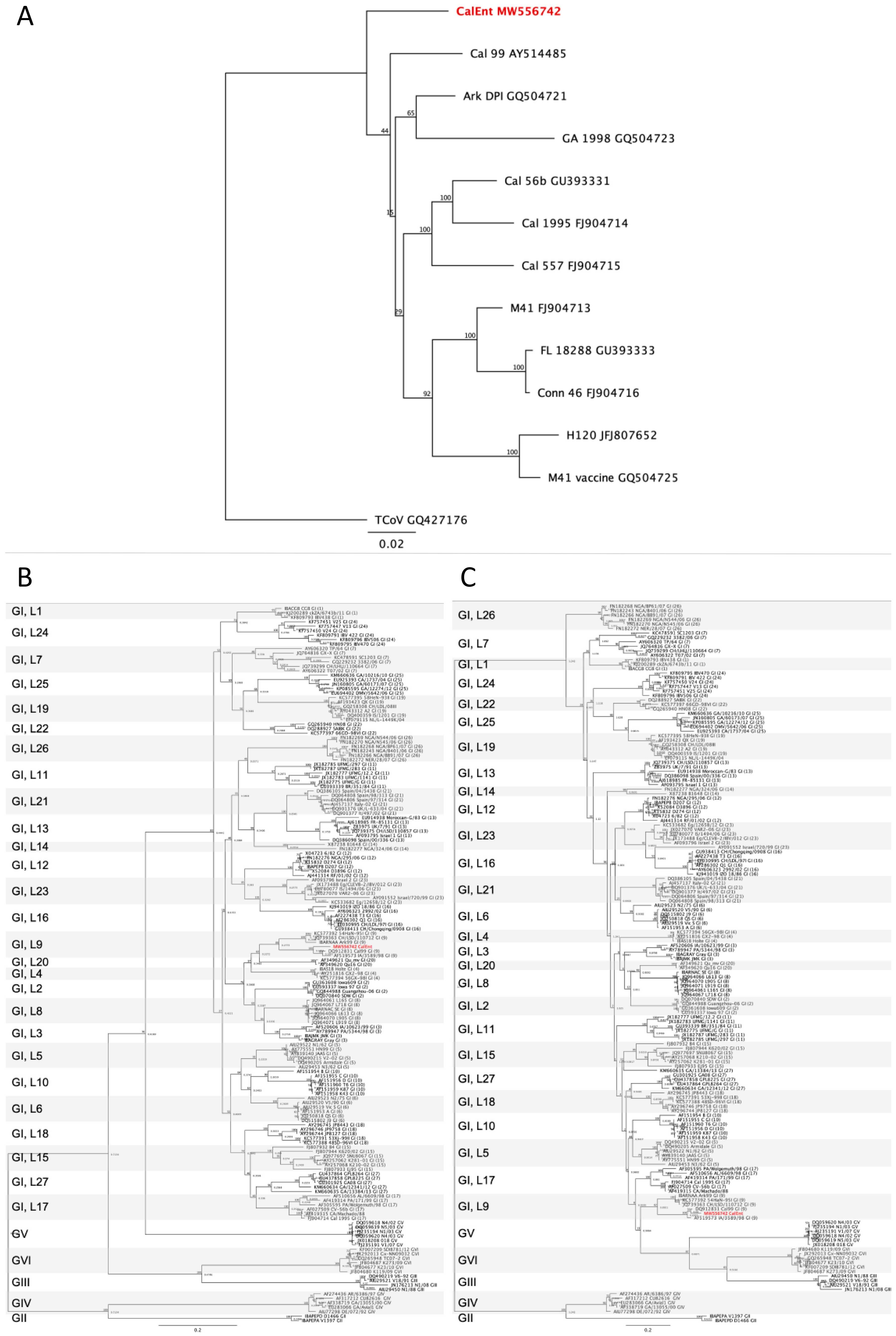 Viruses 13 01477 g001 Viruses 13 01477 g001