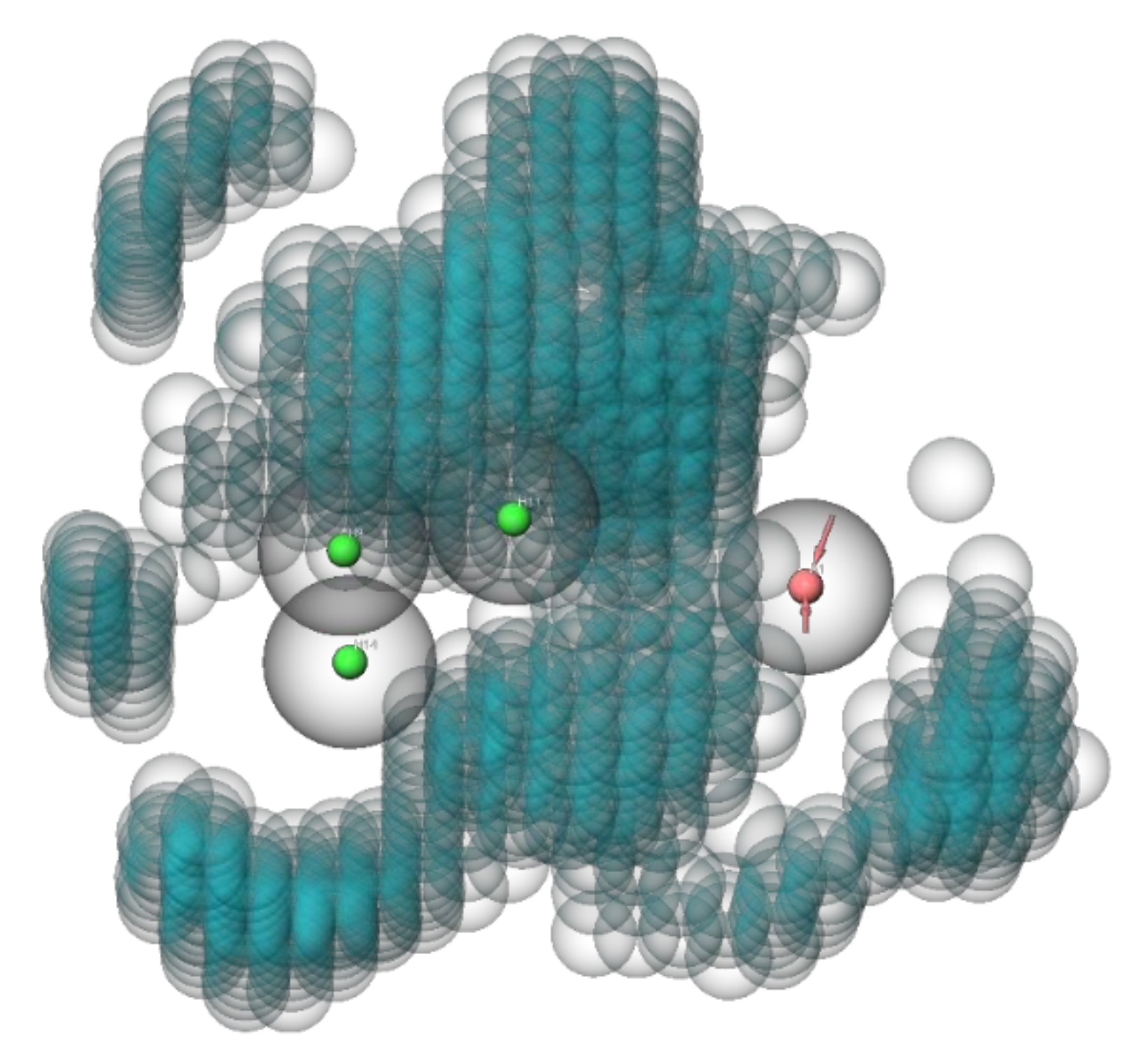 Viruses 13 01489 g004 Viruses 13 01489 g004