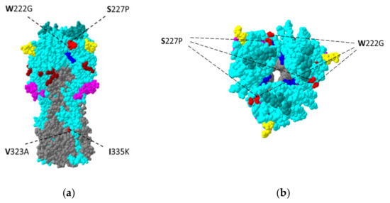 Viruses Free Full Text Analysis Of Single Nucleotide Variants Snvs Induced By Passages Of 0539