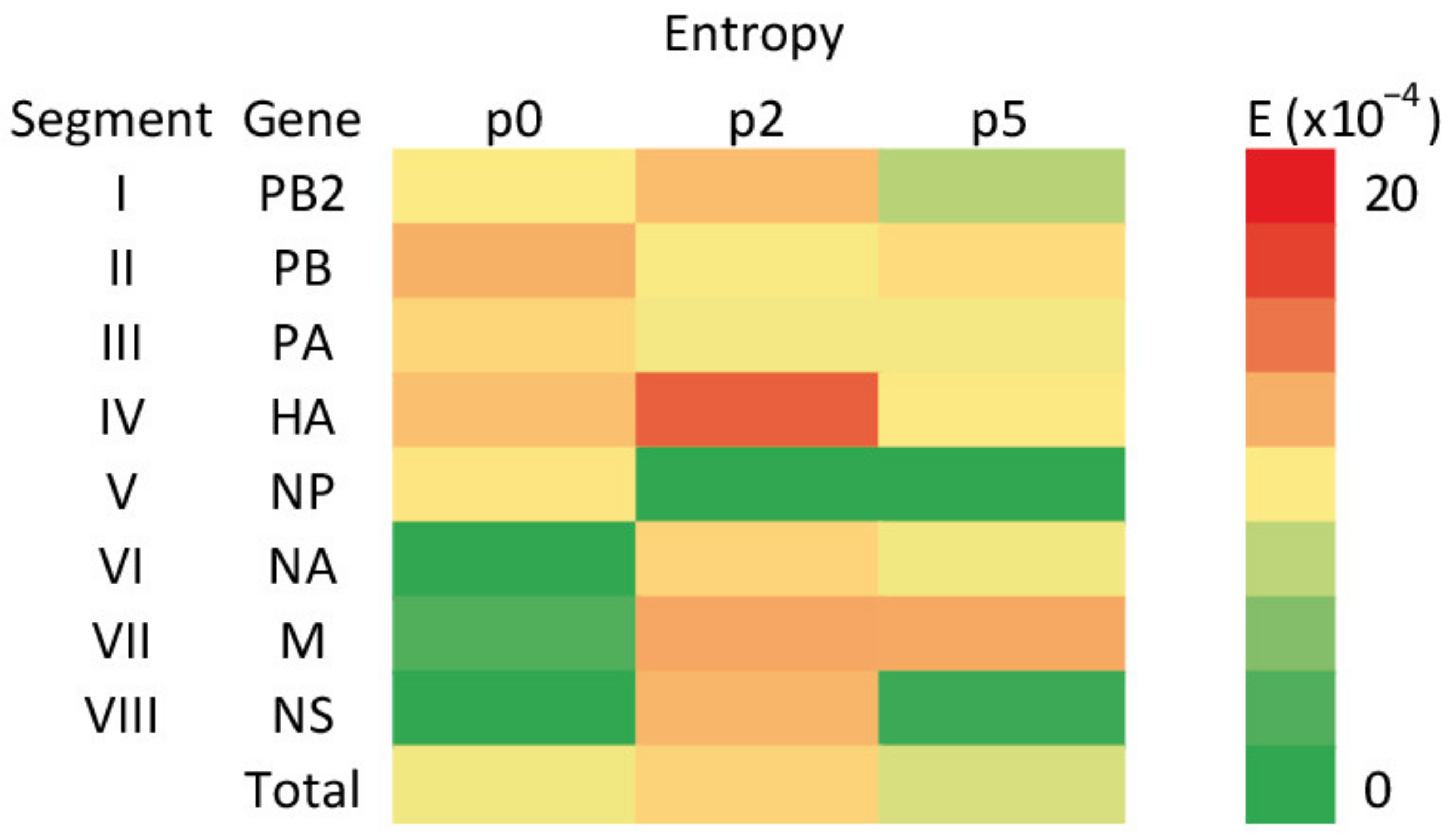 Viruses 13 01551 g003 Viruses 13 01551 g003
