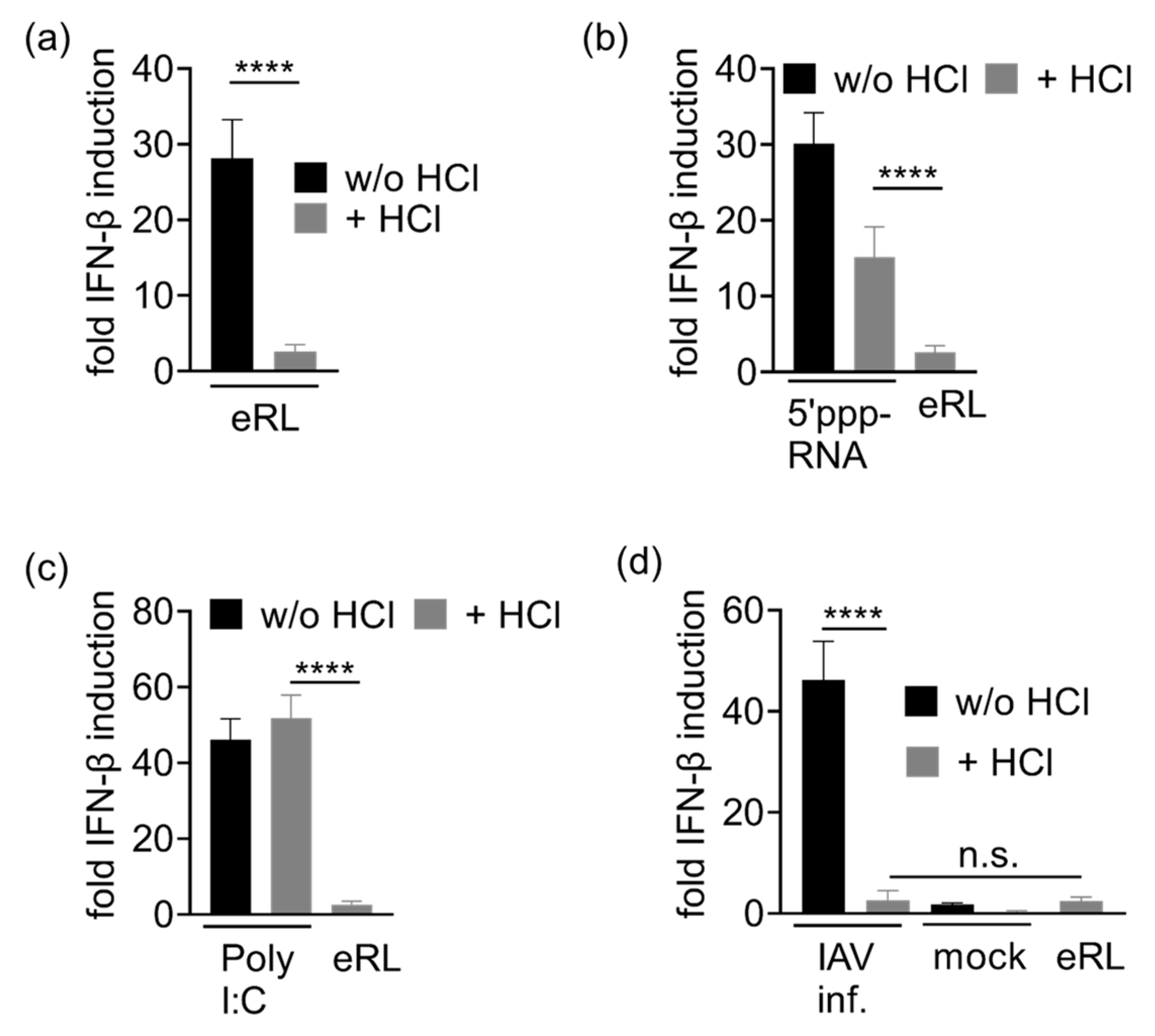 Viruses 13 01564 g004