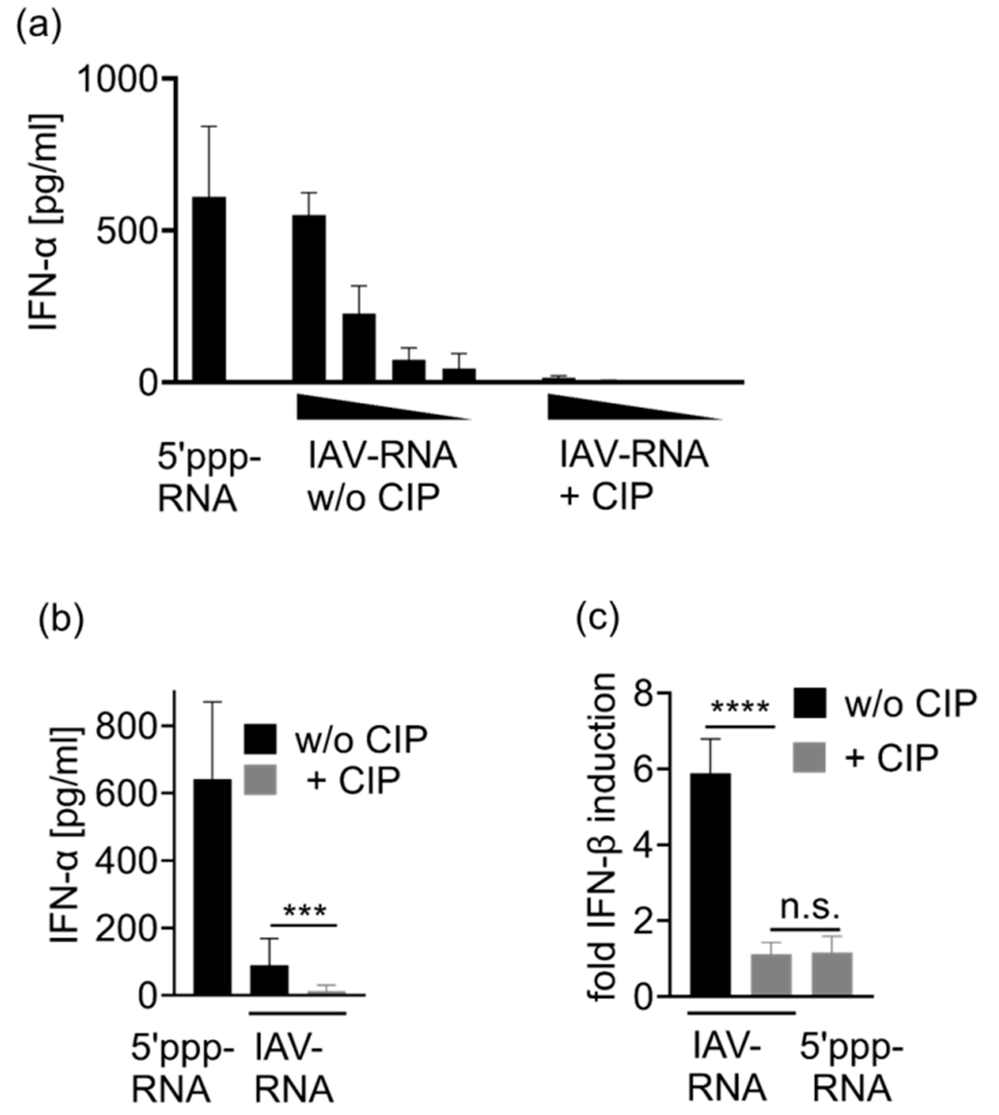Viruses 13 01564 g0a3