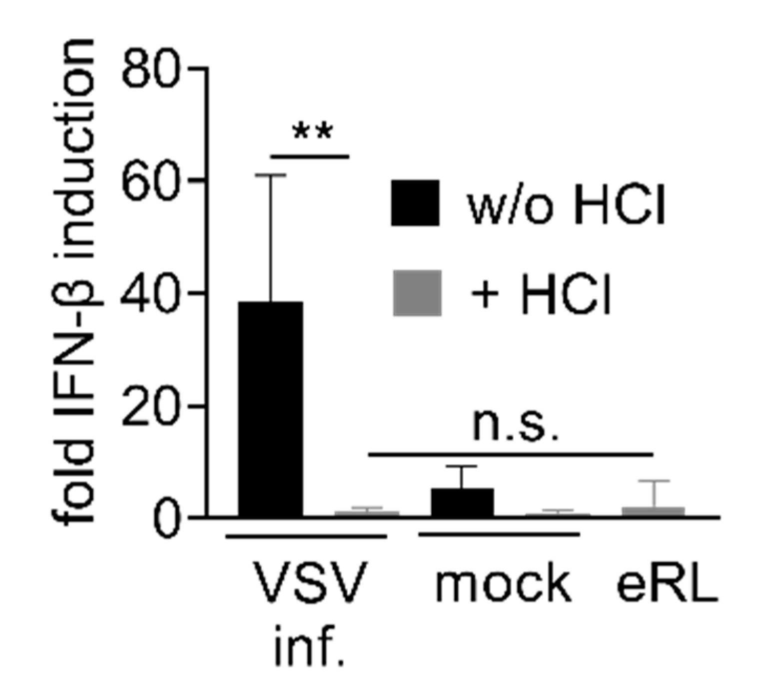 Viruses 13 01564 g0a5