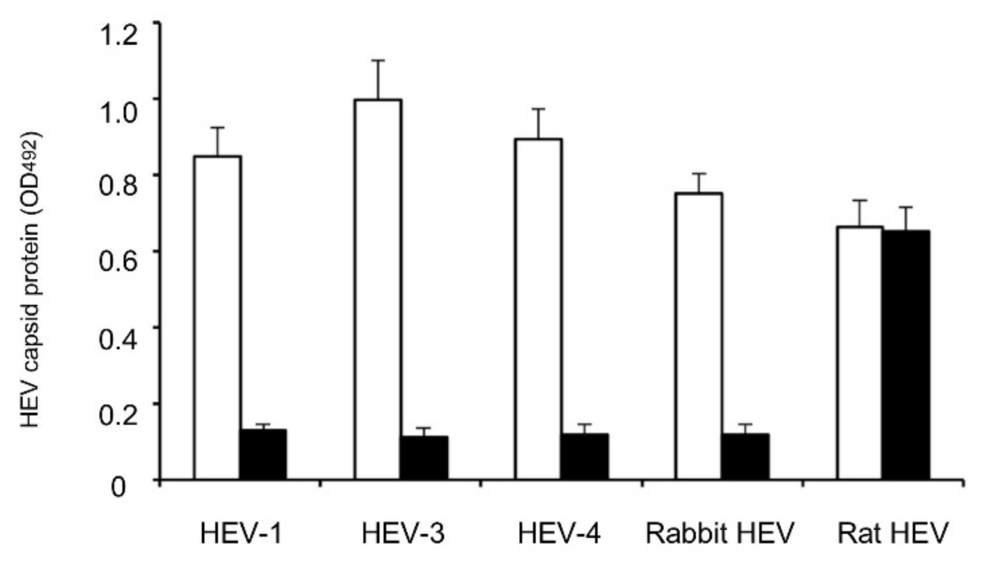 Viruses 13 01573 g004 Viruses 13 01573 g004