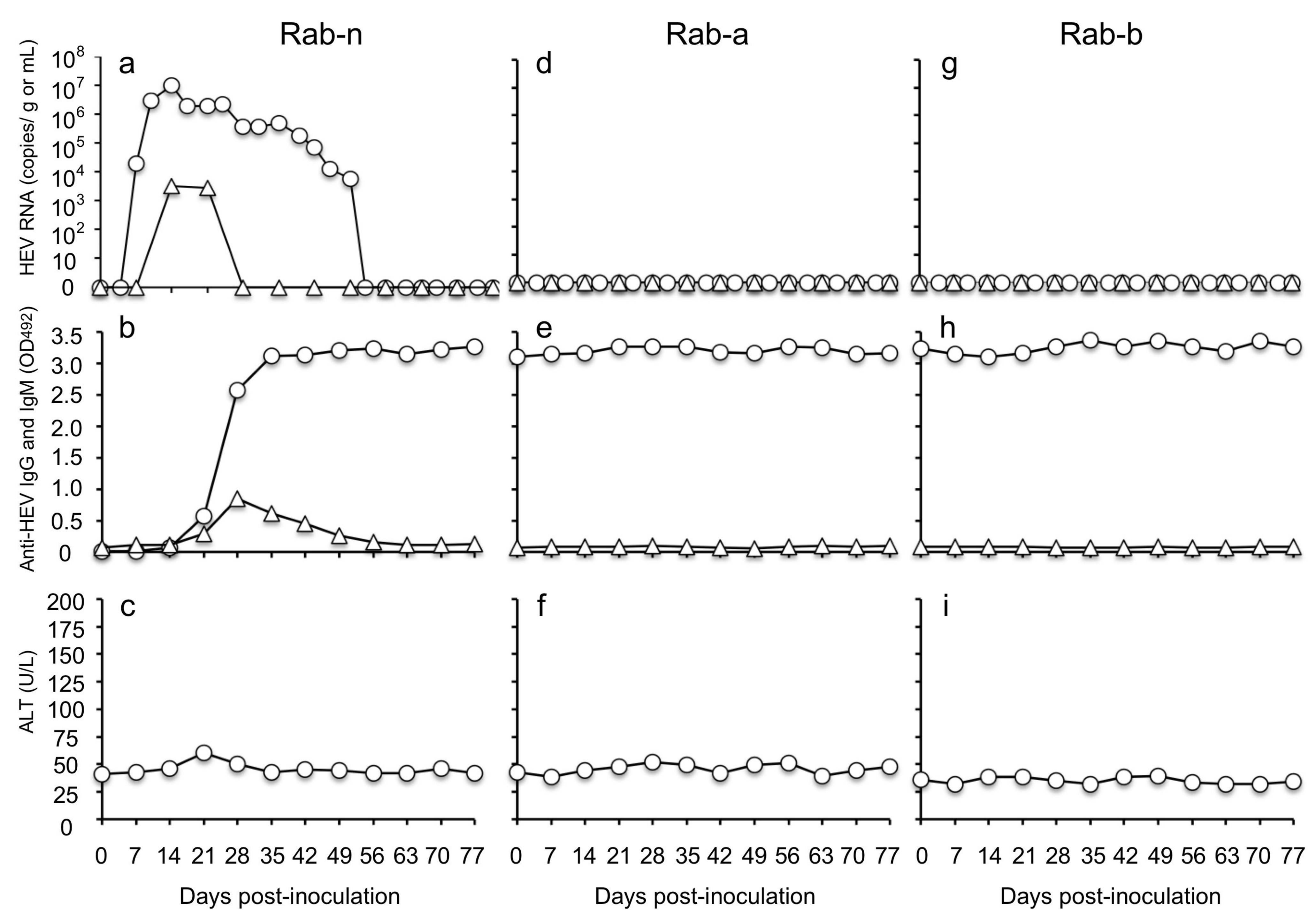 Viruses 13 01573 g006 Viruses 13 01573 g006