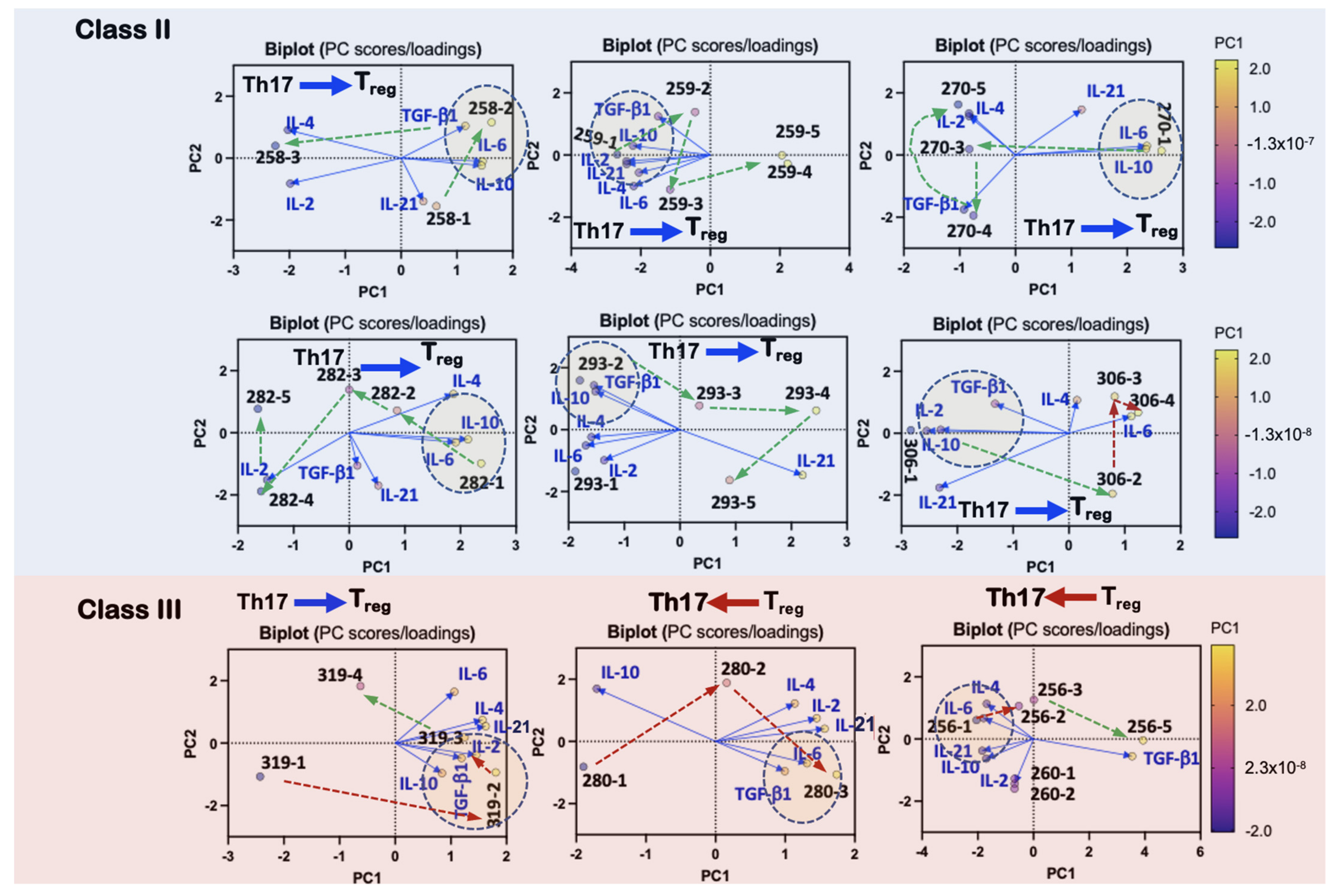 Viruses 13 01597 g007 Viruses 13 01597 g007
