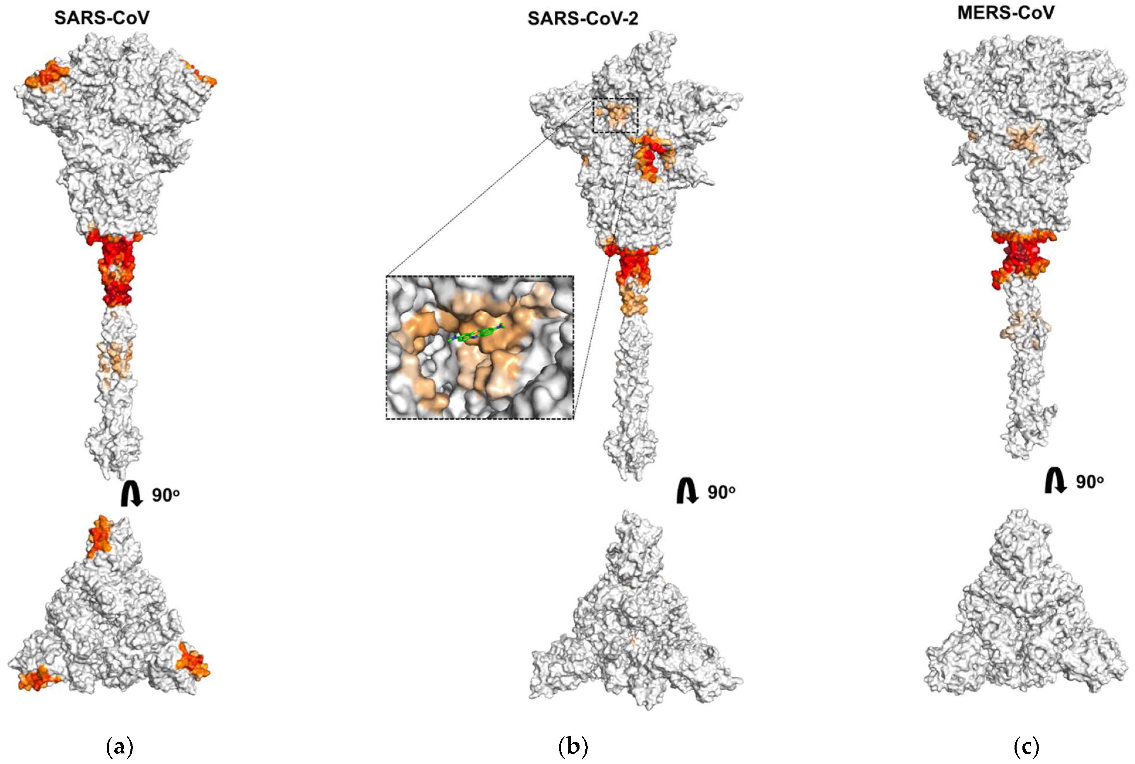 Viruses 13 01615 g003