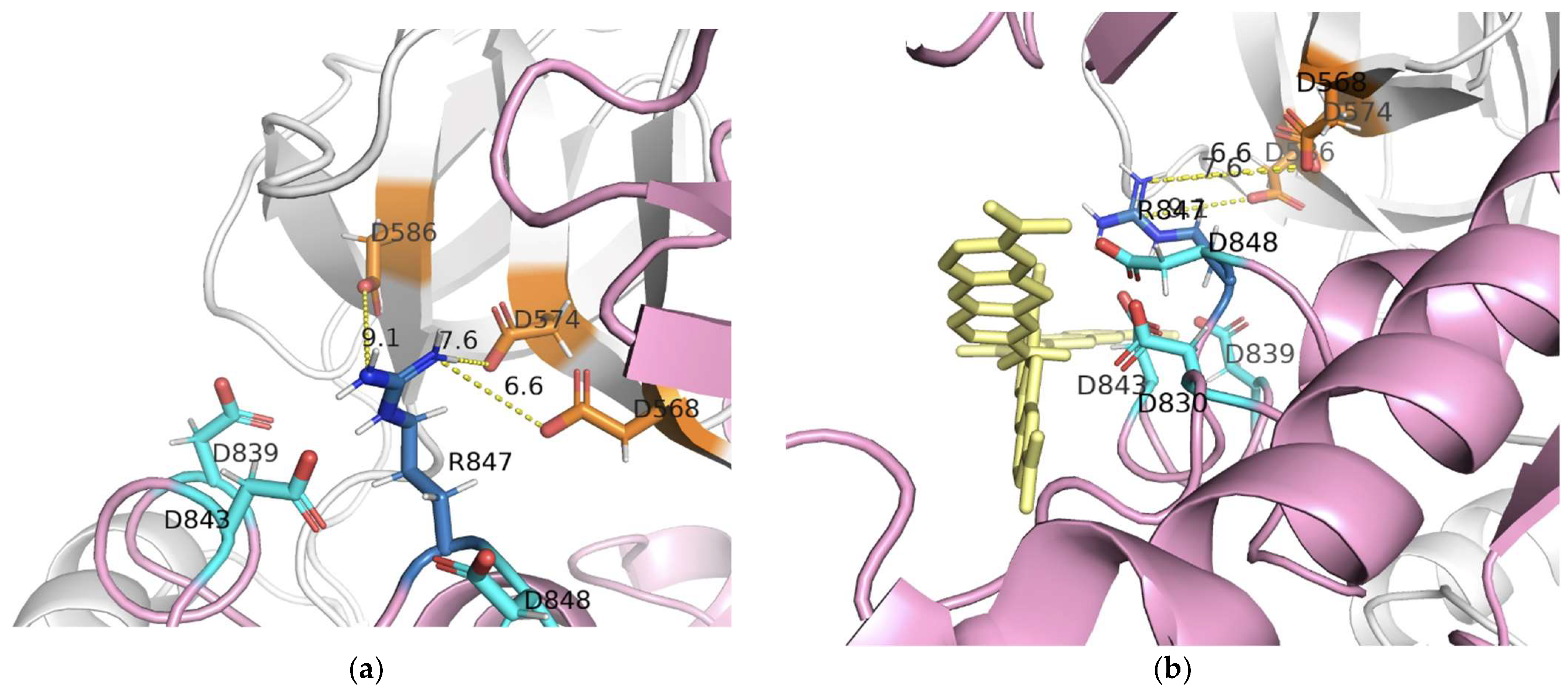 Viruses 13 01615 g005a