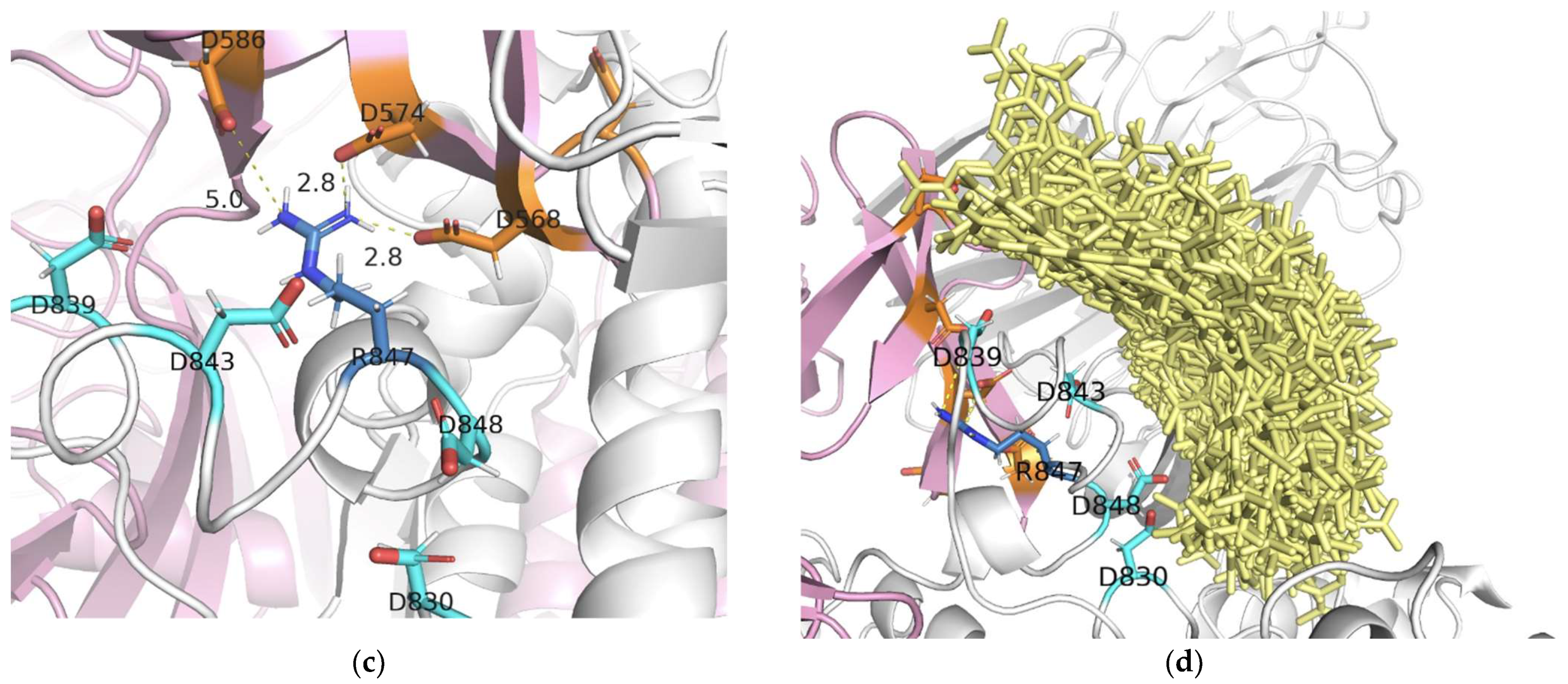 Viruses 13 01615 g005b