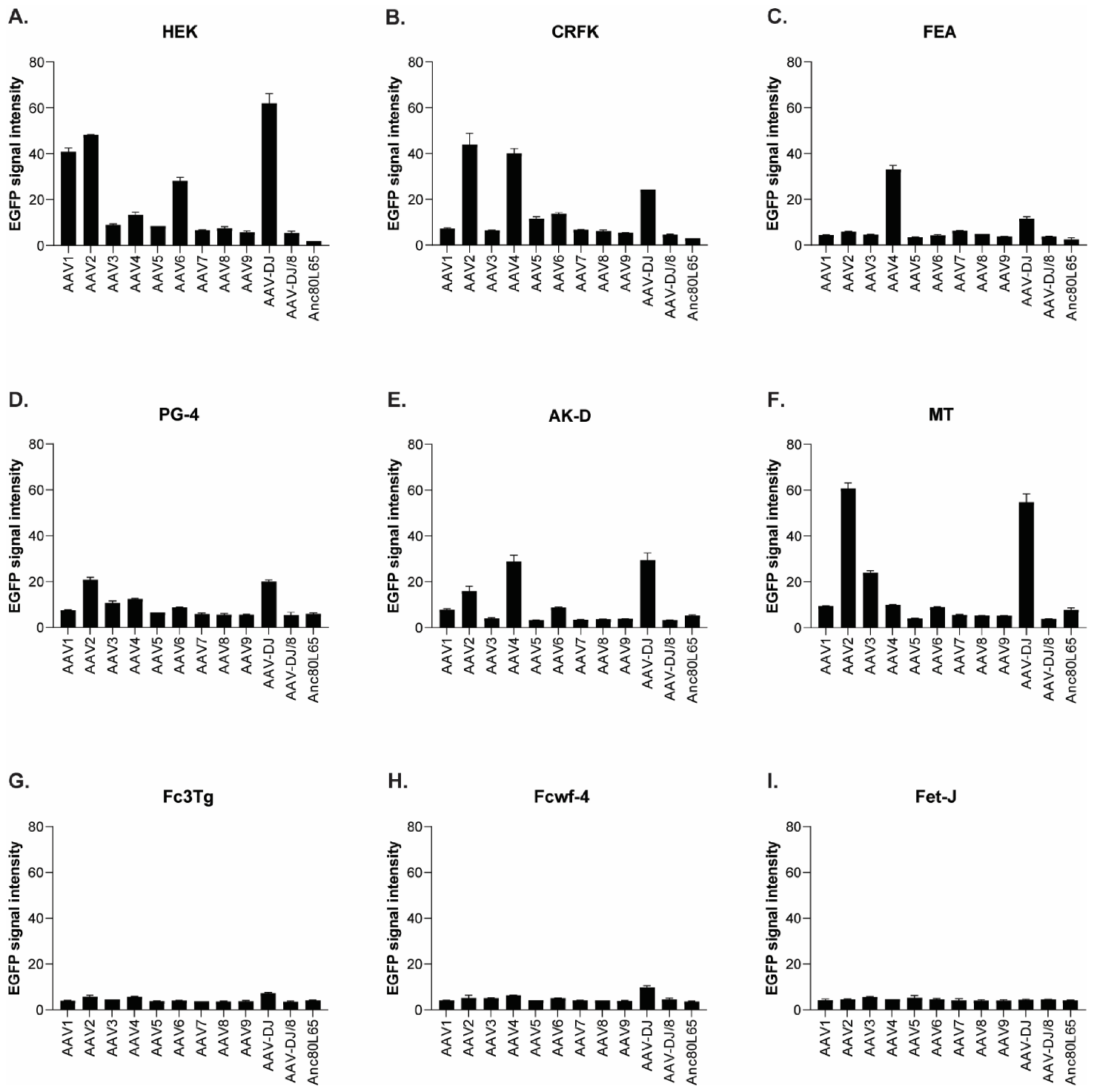 Viruses 13 01636 g004