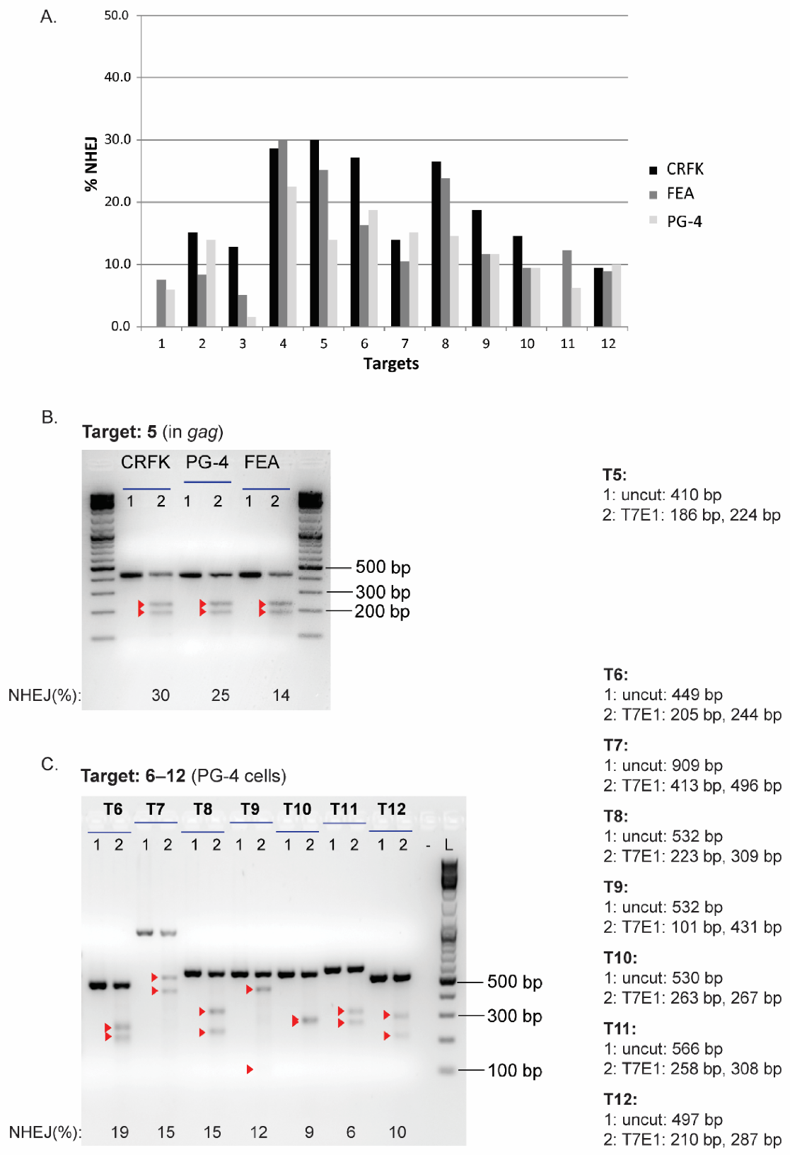 Viruses 13 01636 g0a3