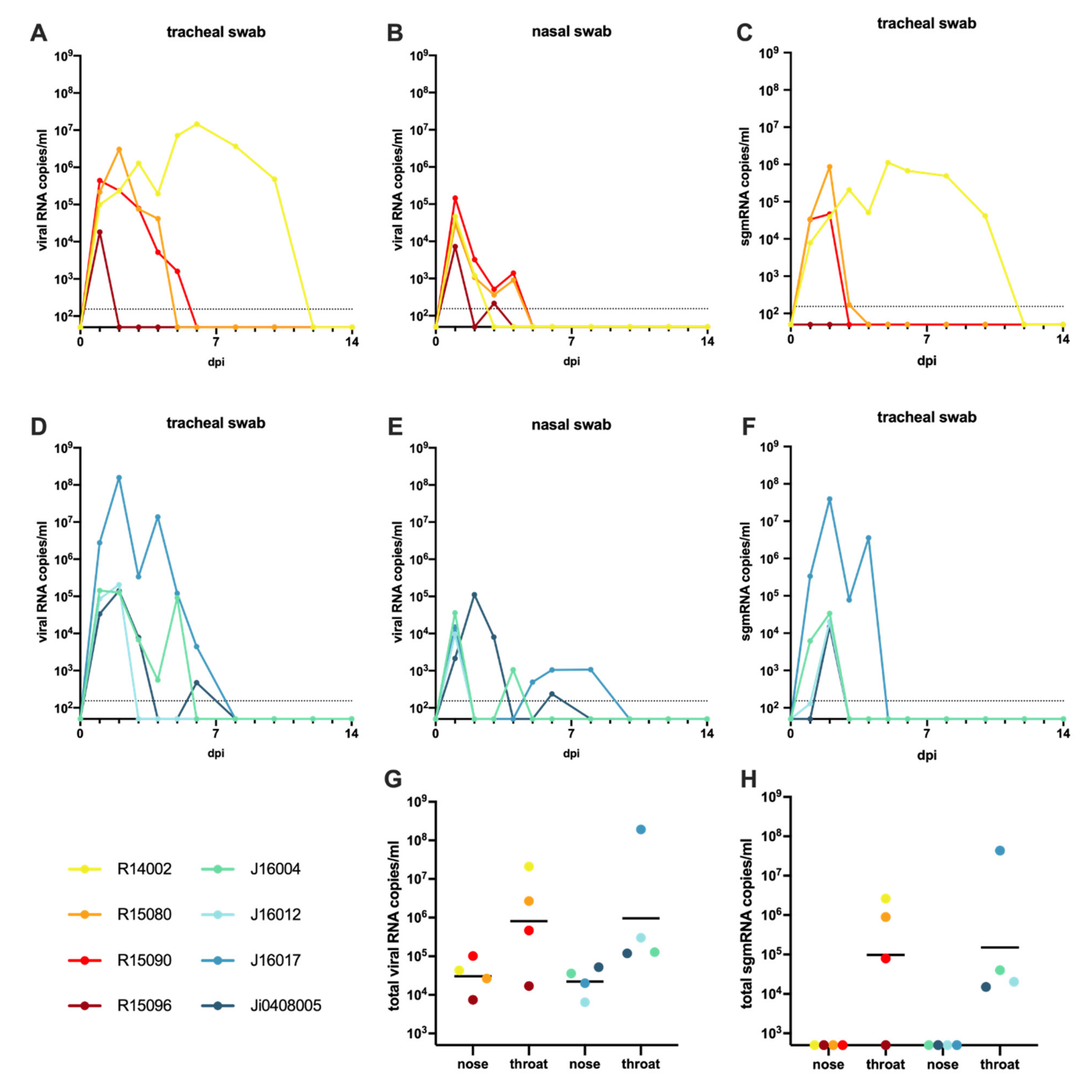 Viruses | Free Full-Text | The Post-Acute Phase of SARS-CoV-2 Infection in  Two Macaque Species Is Associated with Signs of Ongoing Virus Replication  and Pathology in Pulmonary and Extrapulmonary Tissues | HTML
