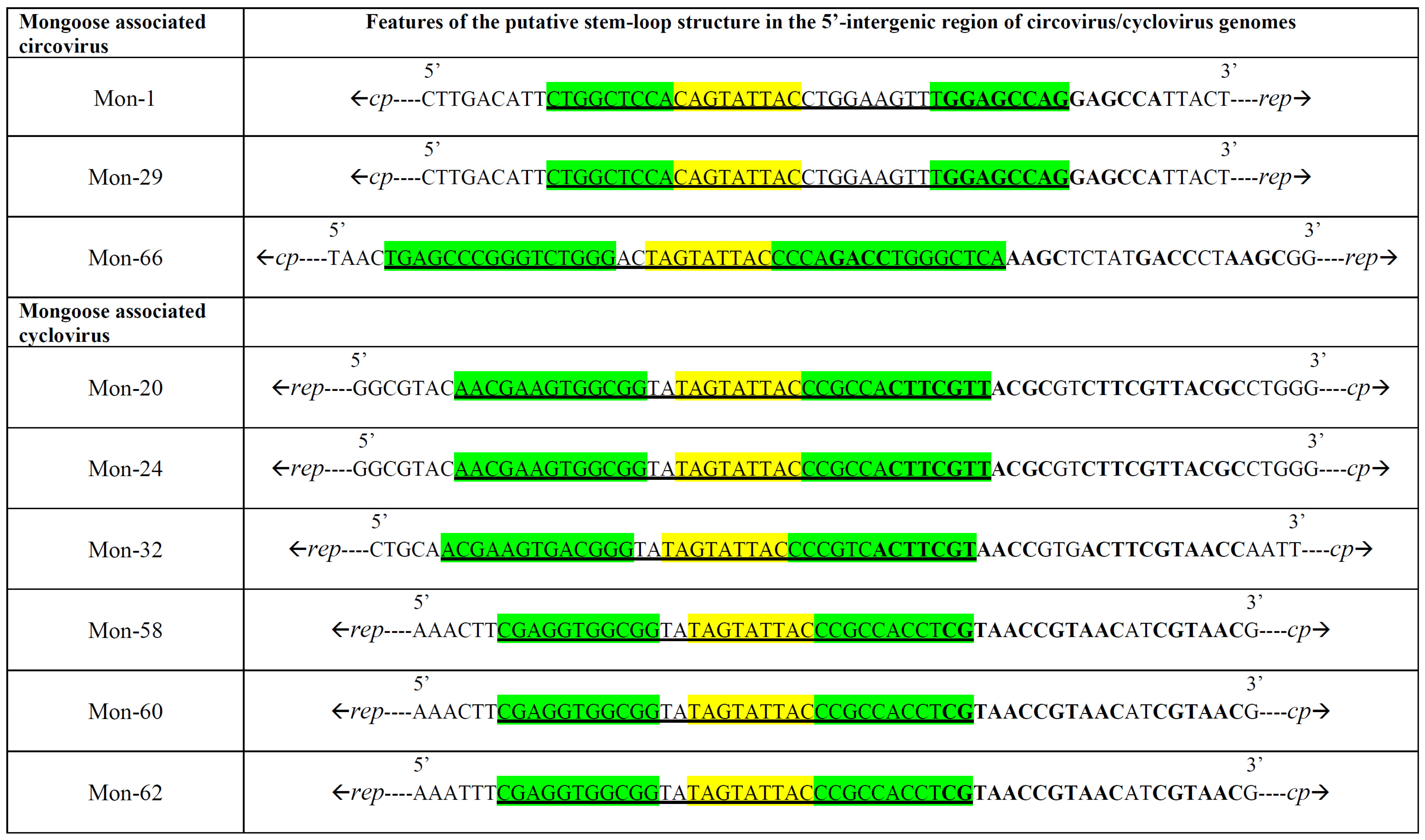 Viruses 13 01700 g003 Viruses 13 01700 g003