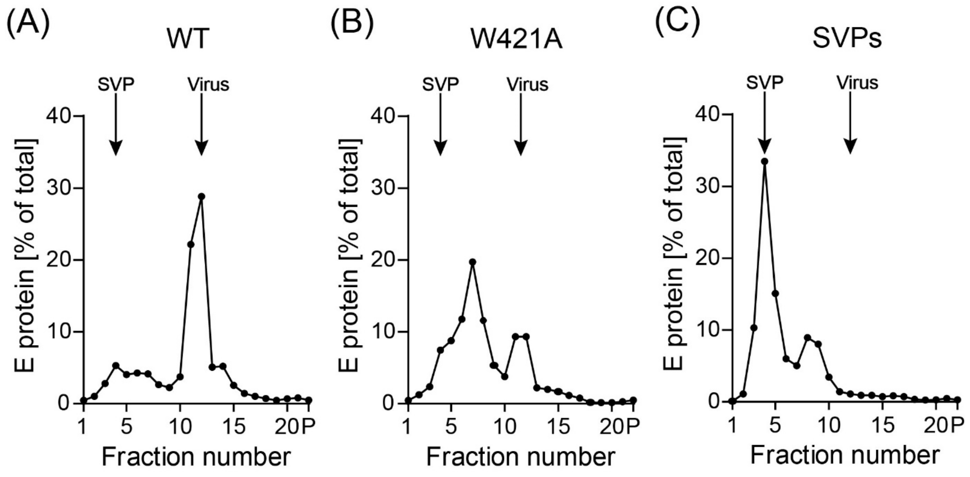 Viruses 13 01727 g004