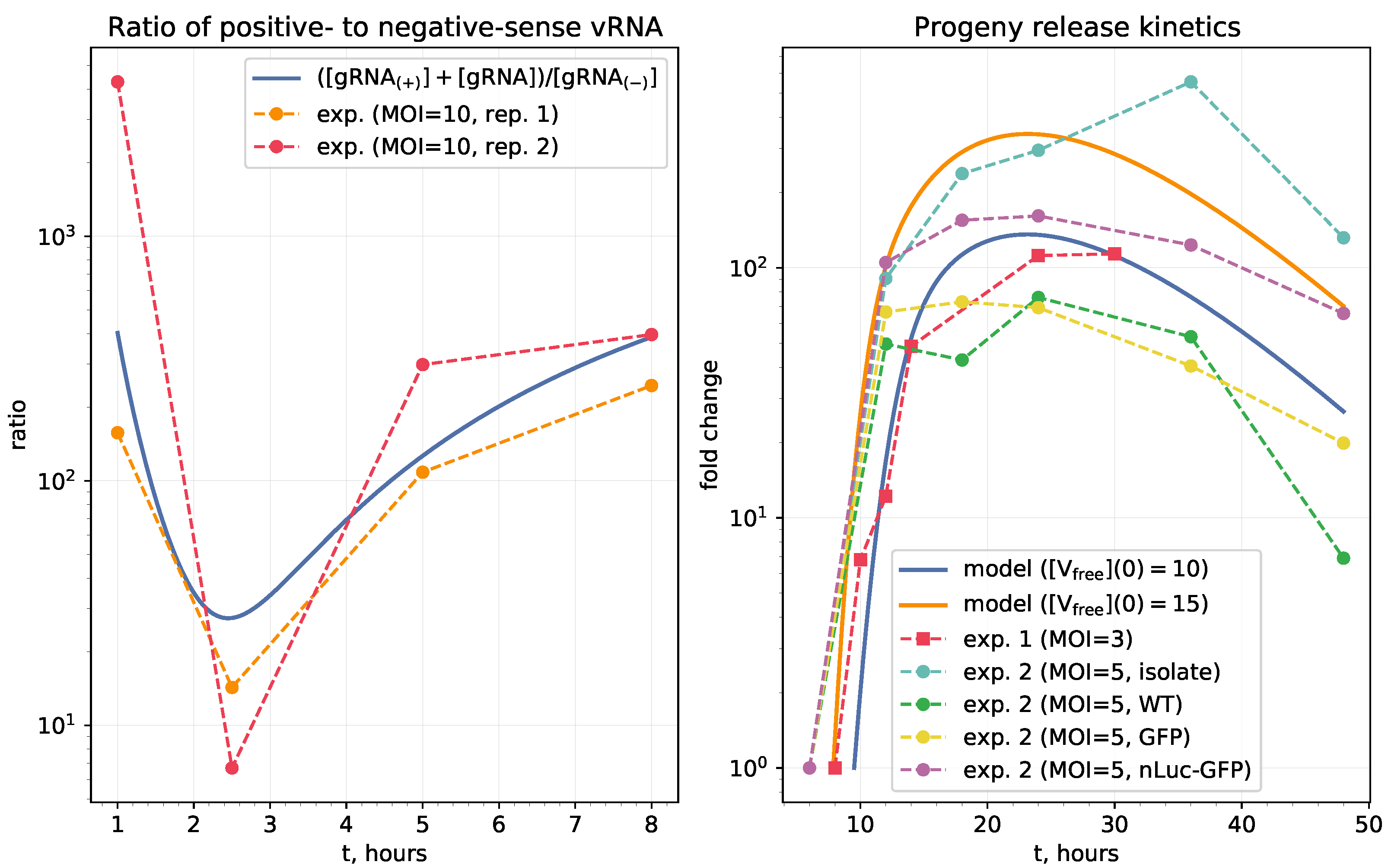 Viruses 13 01735 g003