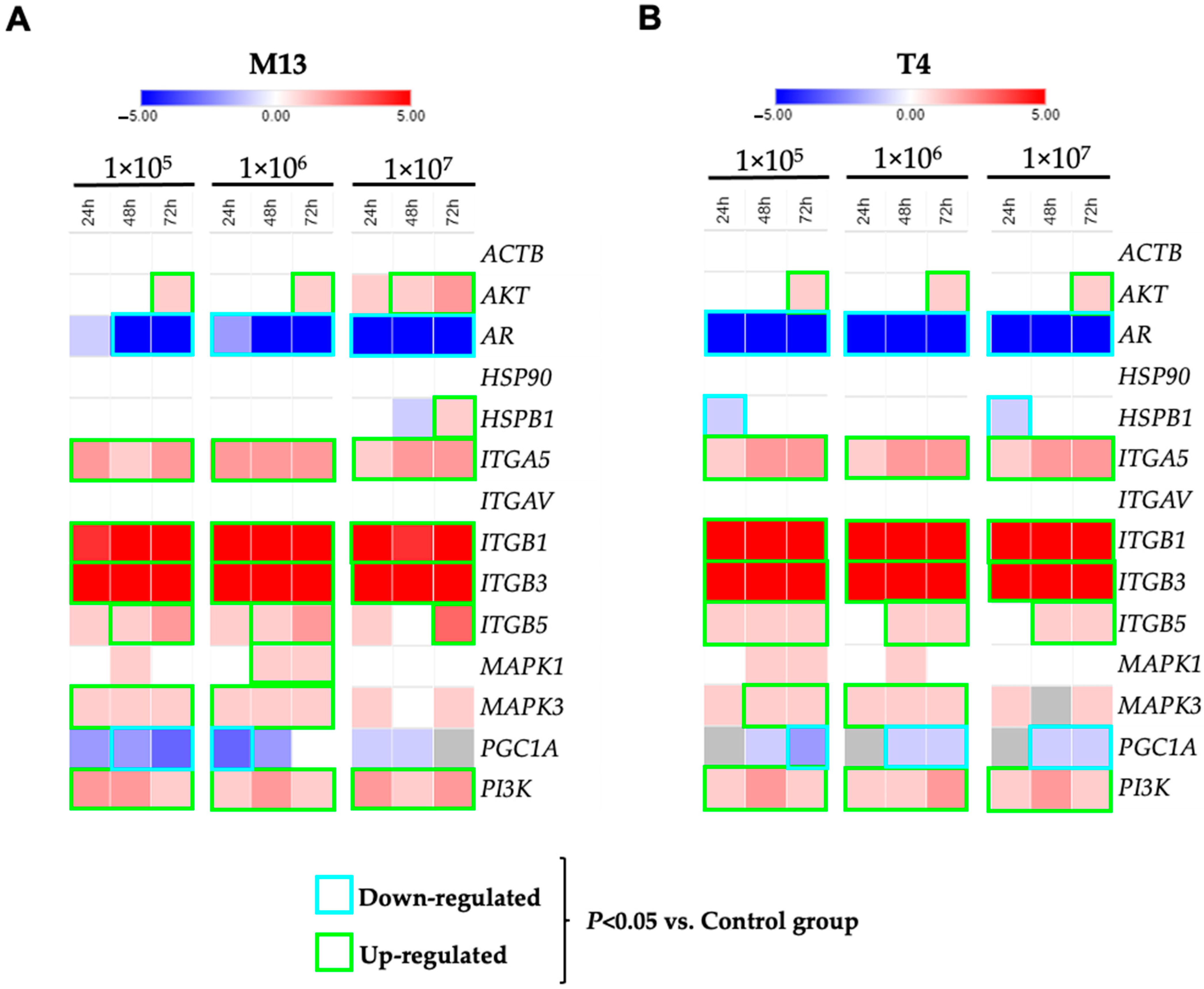 Viruses 13 01754 g003