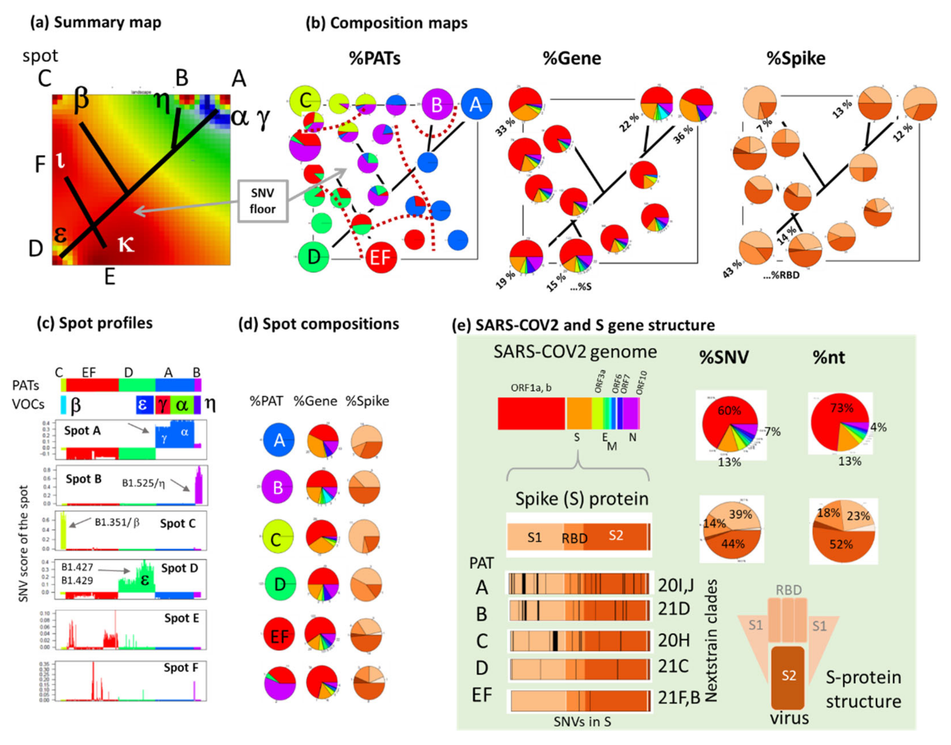 Viruses 13 01764 g006