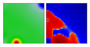 Viruses 13 01764 i041