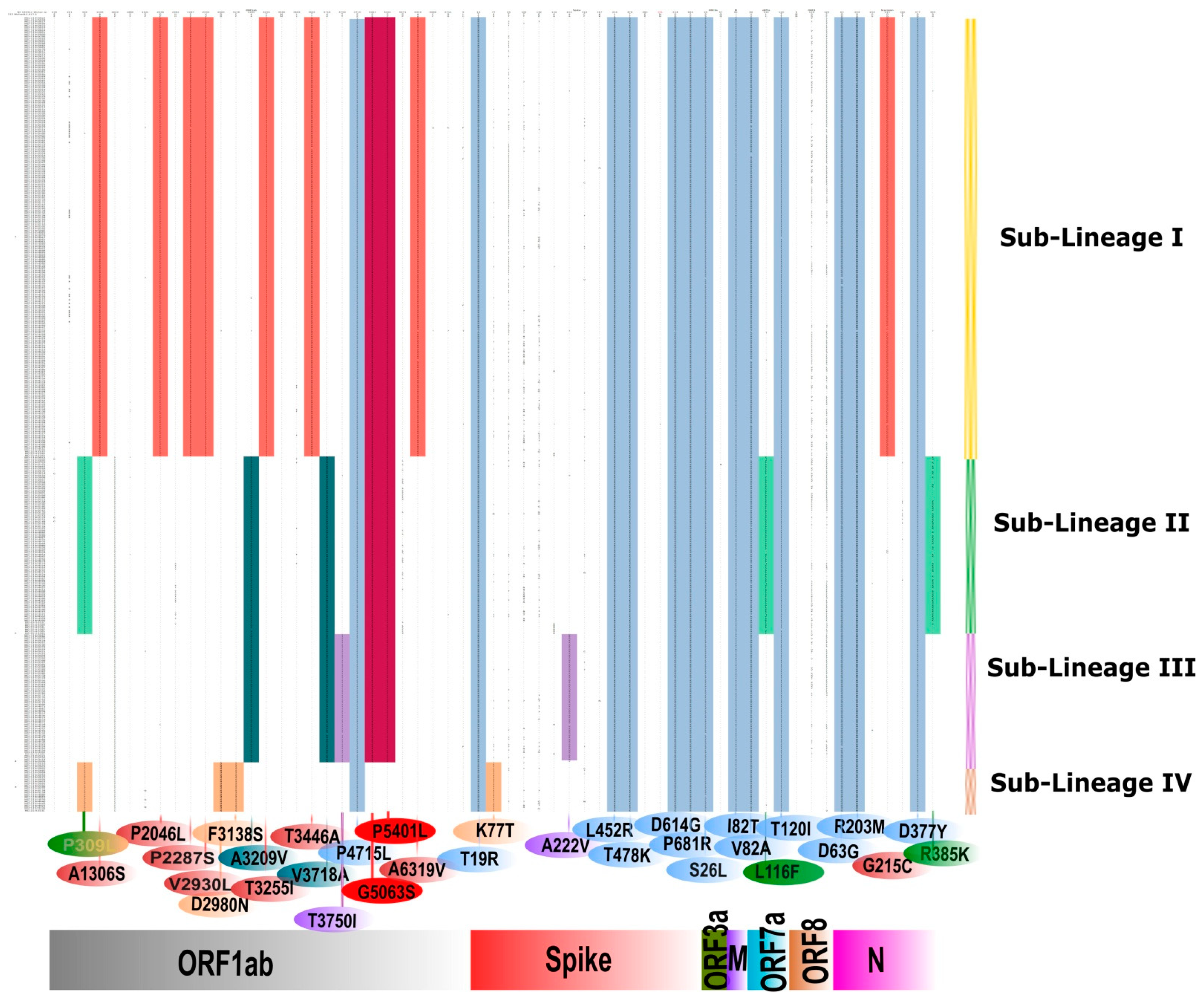 Viruses 13 01782 g005