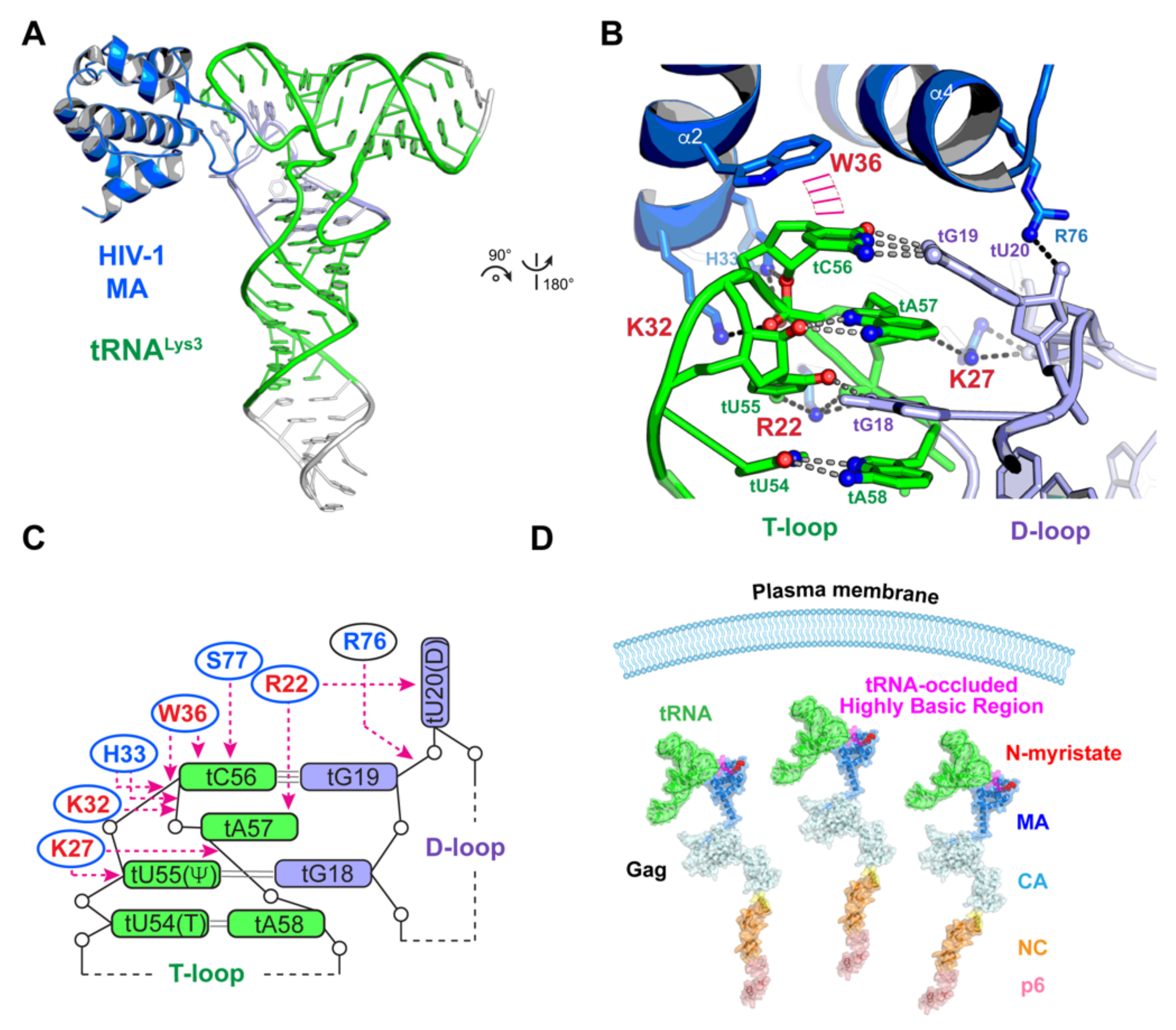 Viruses 13 01819 g004