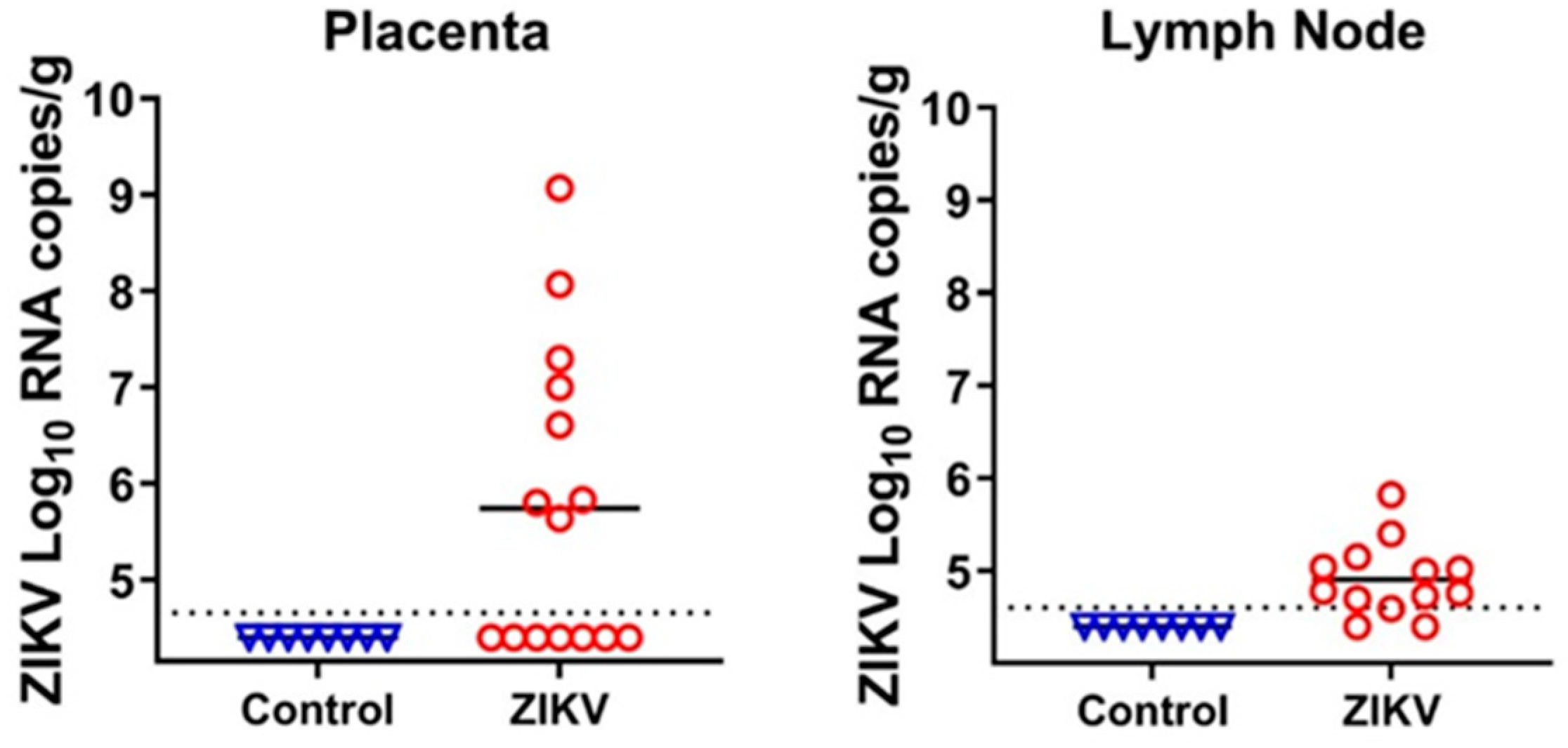 Viruses 13 01827 g002 Viruses 13 01827 g002