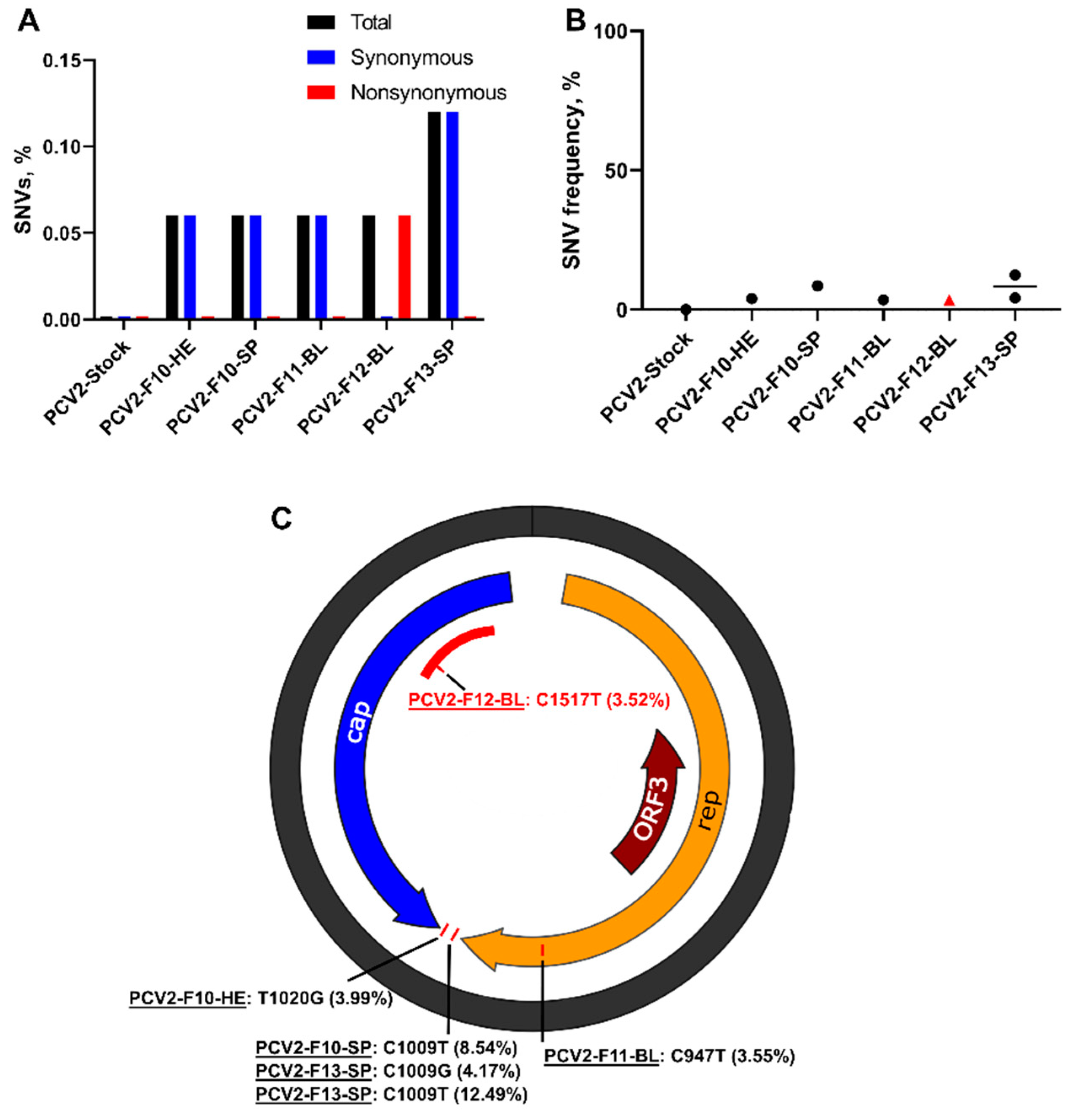 Viruses 13 01827 g006 Viruses 13 01827 g006