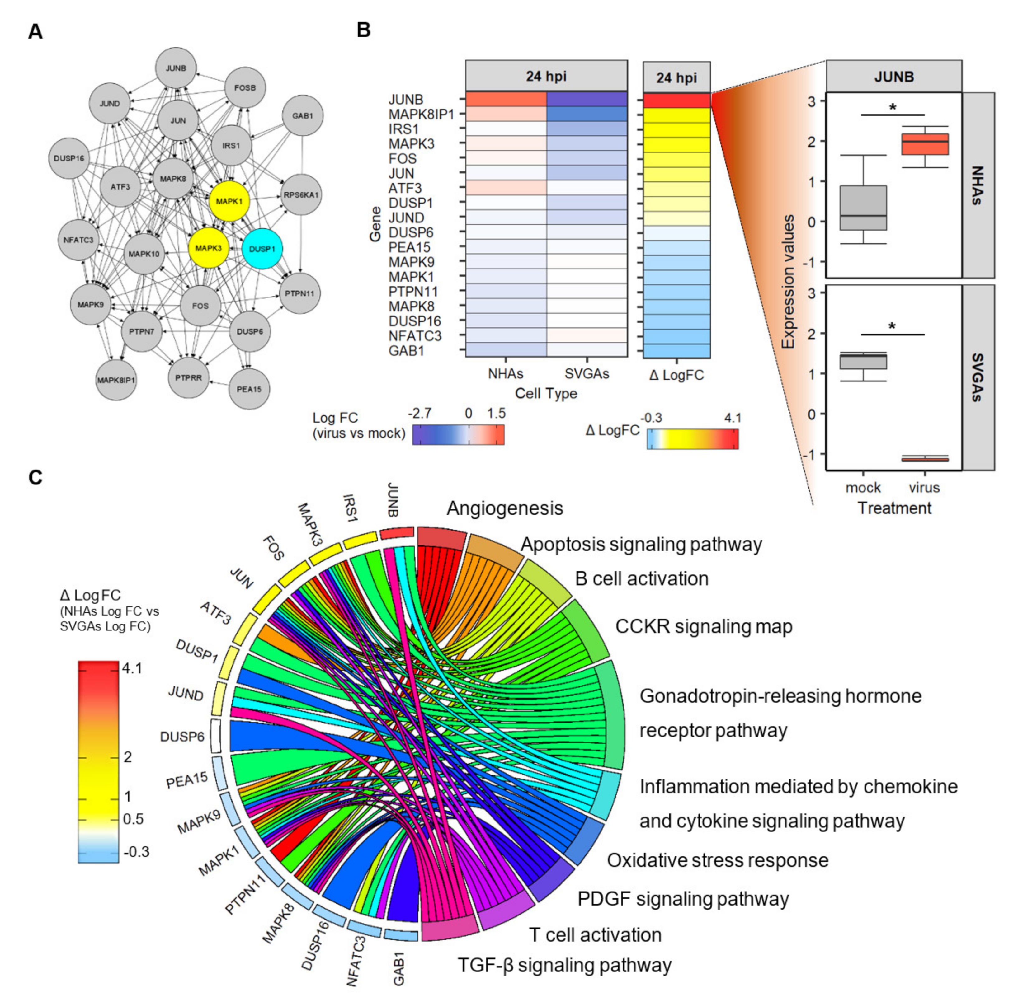 Viruses 13 01834 g006 Viruses 13 01834 g006