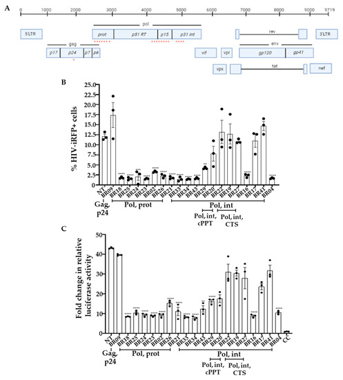 Viruses | Free Full-Text | Efficient Inhibition of HIV Using CRISPR/Cas13d  Nuclease System