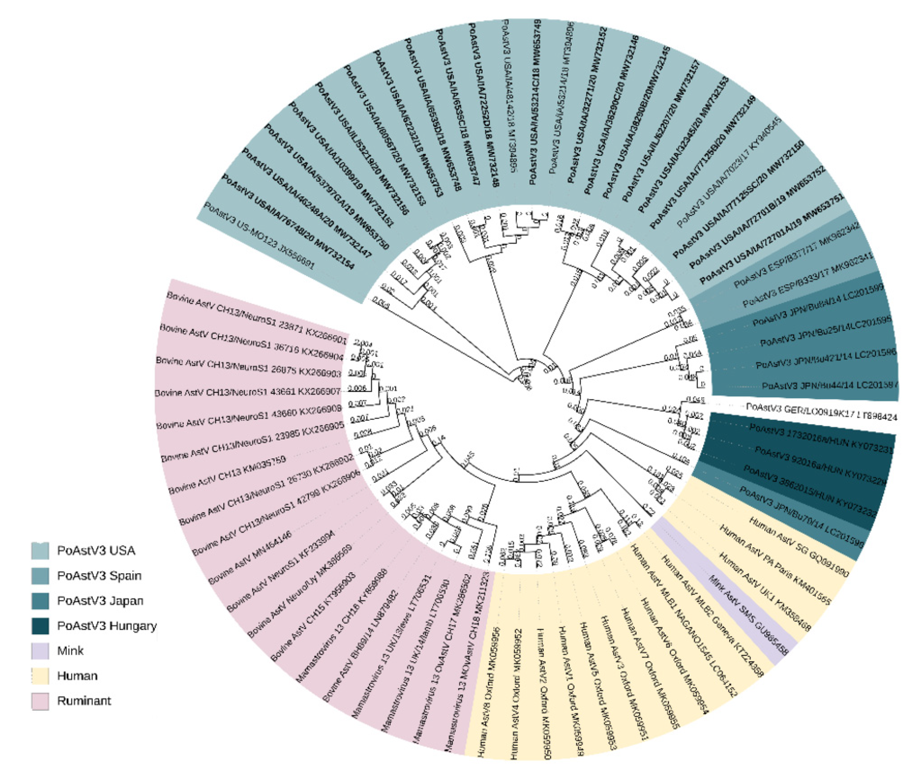 Viruses 13 01859 g001 Viruses 13 01859 g001