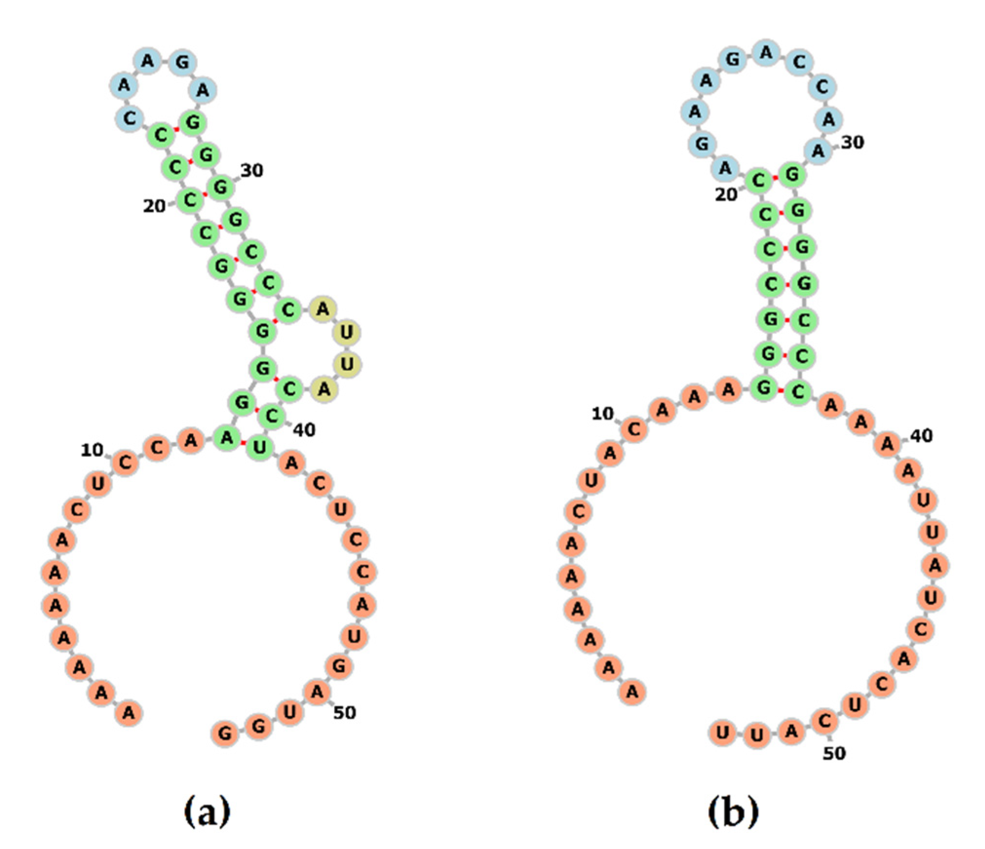 Viruses 13 01859 g003 Viruses 13 01859 g003