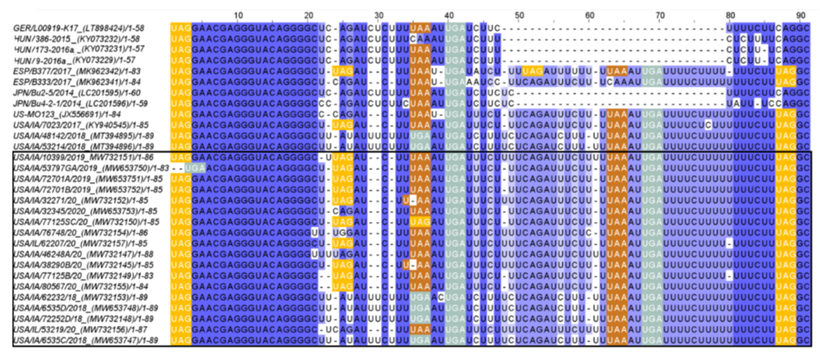 Viruses 13 01859 g004 Viruses 13 01859 g004