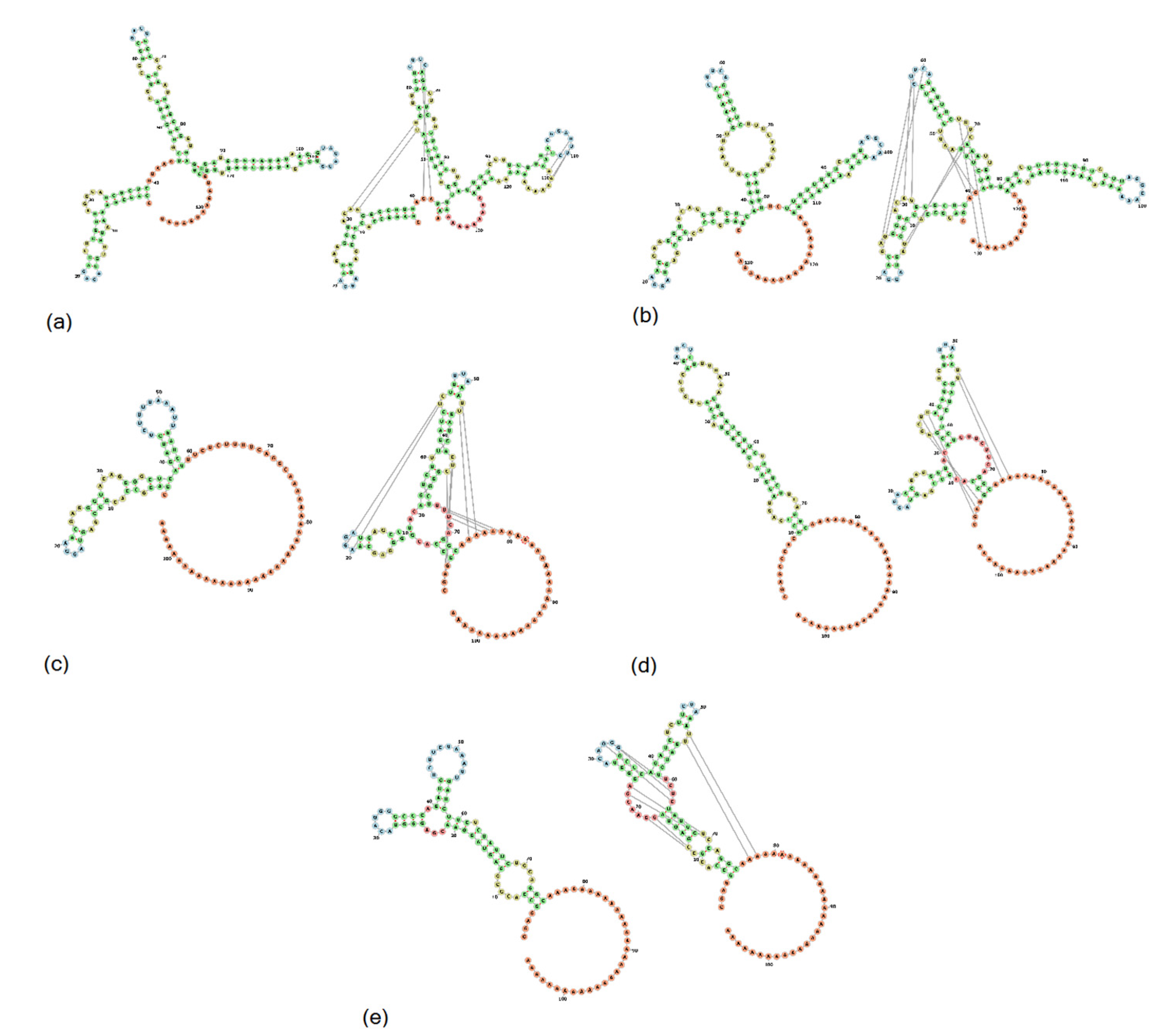 Viruses 13 01859 g005 Viruses 13 01859 g005