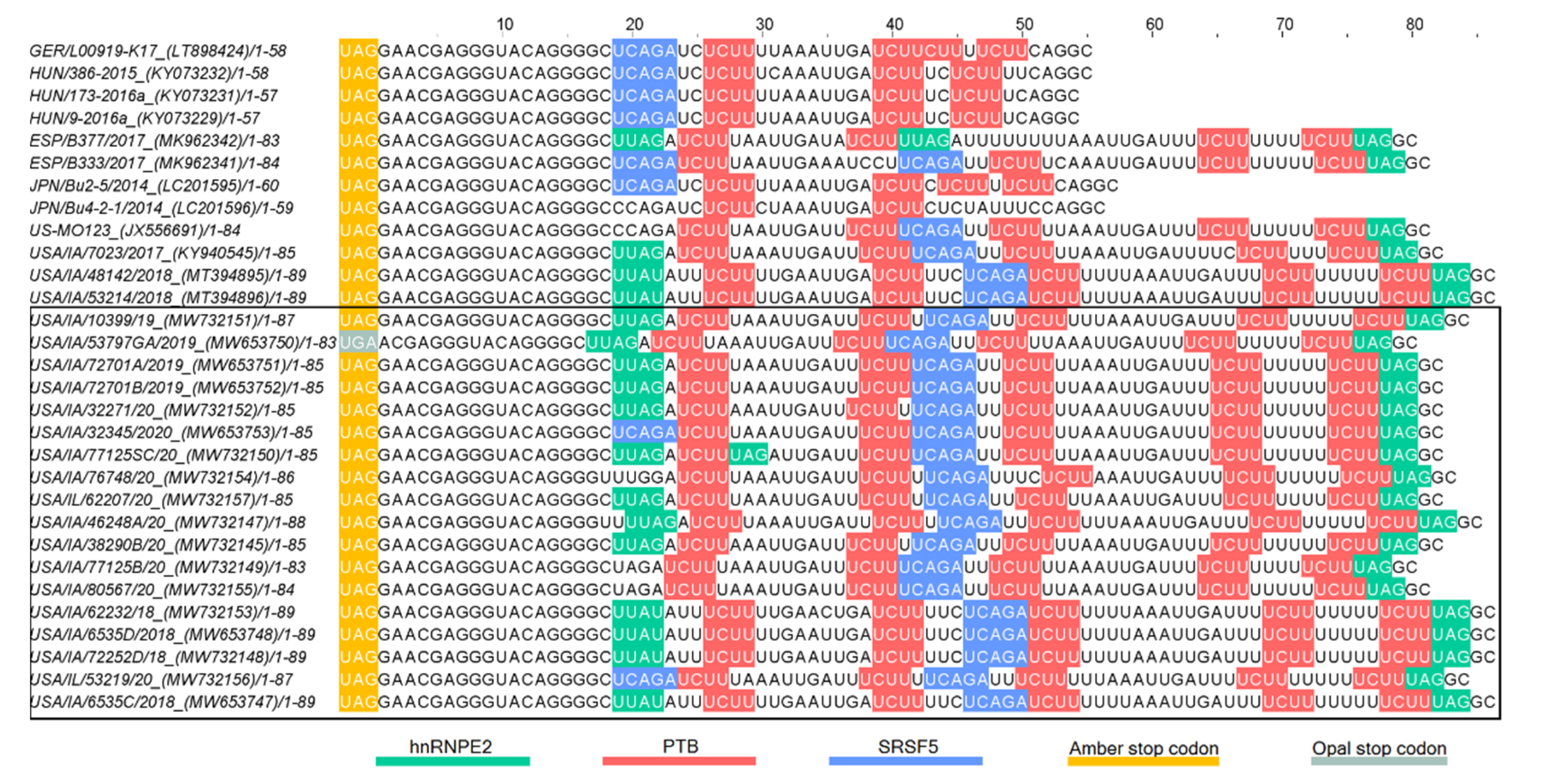Viruses 13 01859 g006 Viruses 13 01859 g006