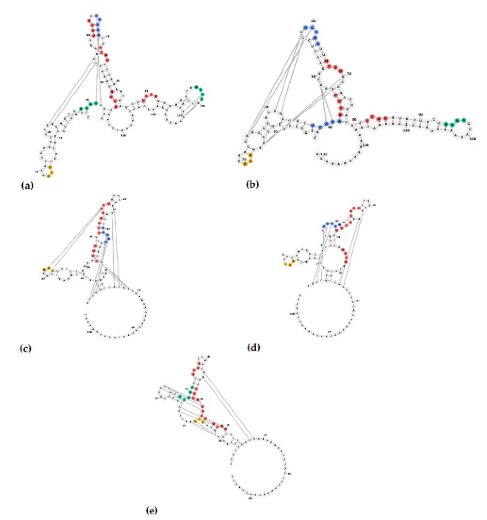 Viruses 13 01859 g007 Viruses 13 01859 g007