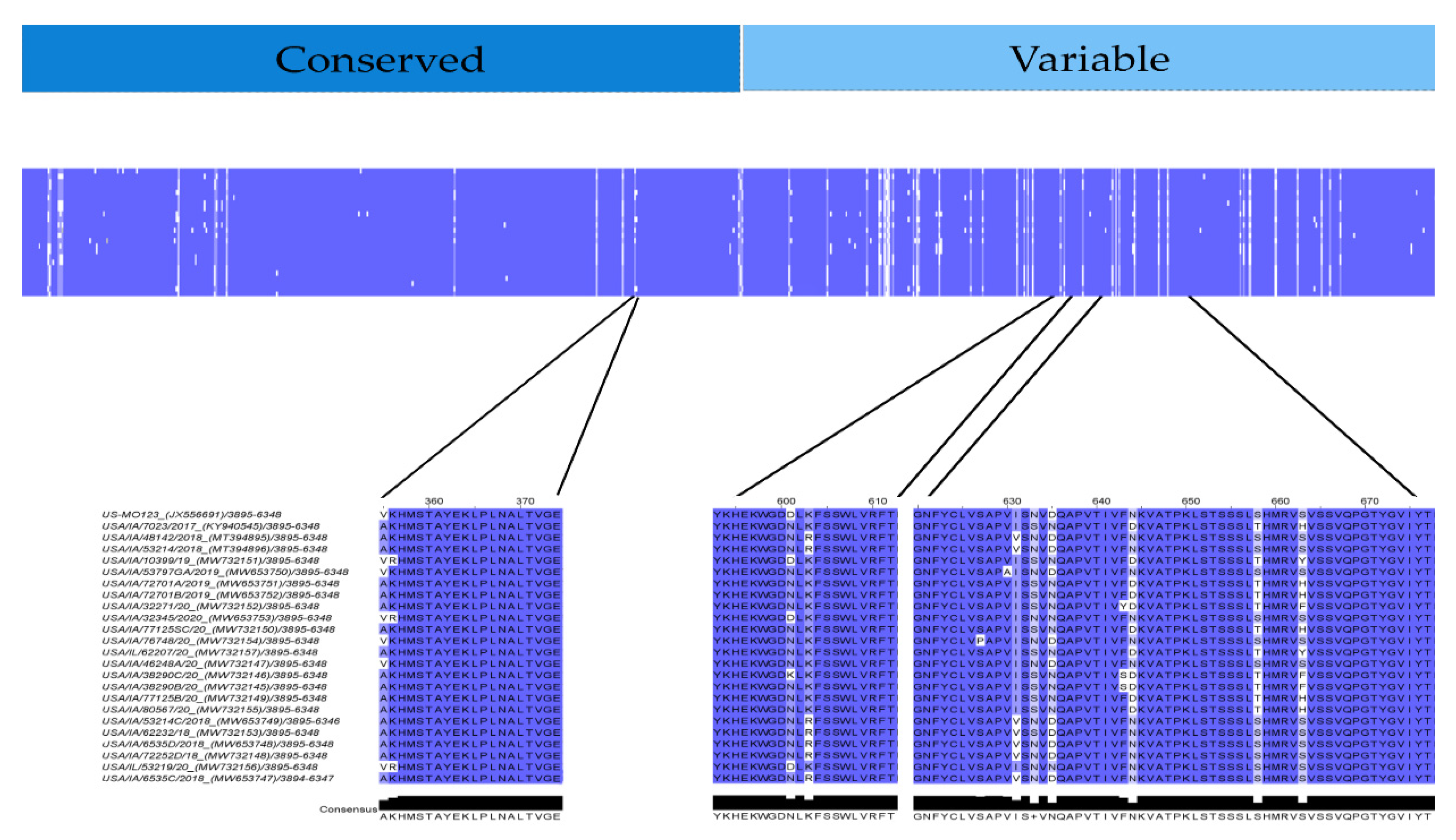 Viruses 13 01859 g008 Viruses 13 01859 g008