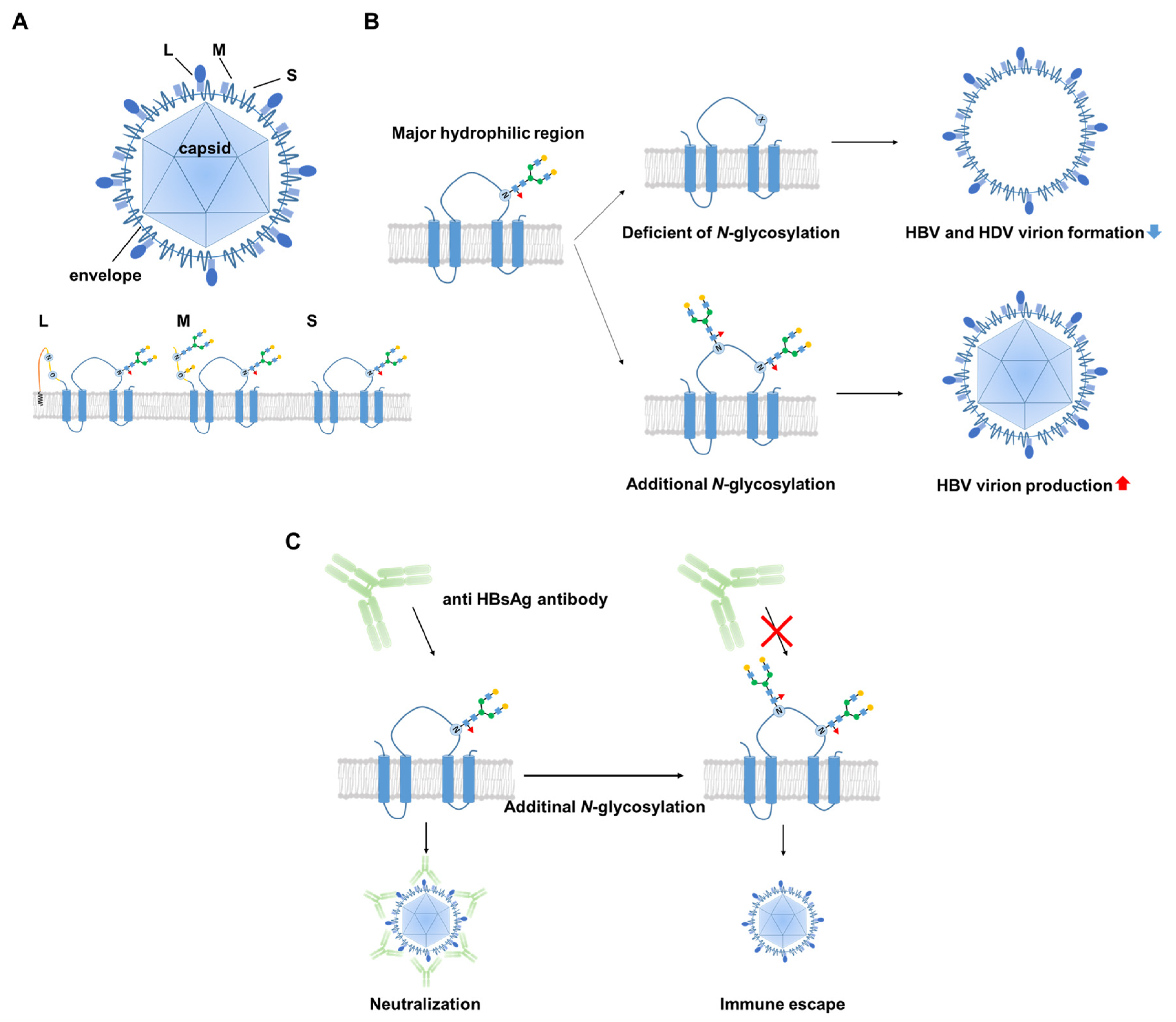 Viruses 13 01860 g001